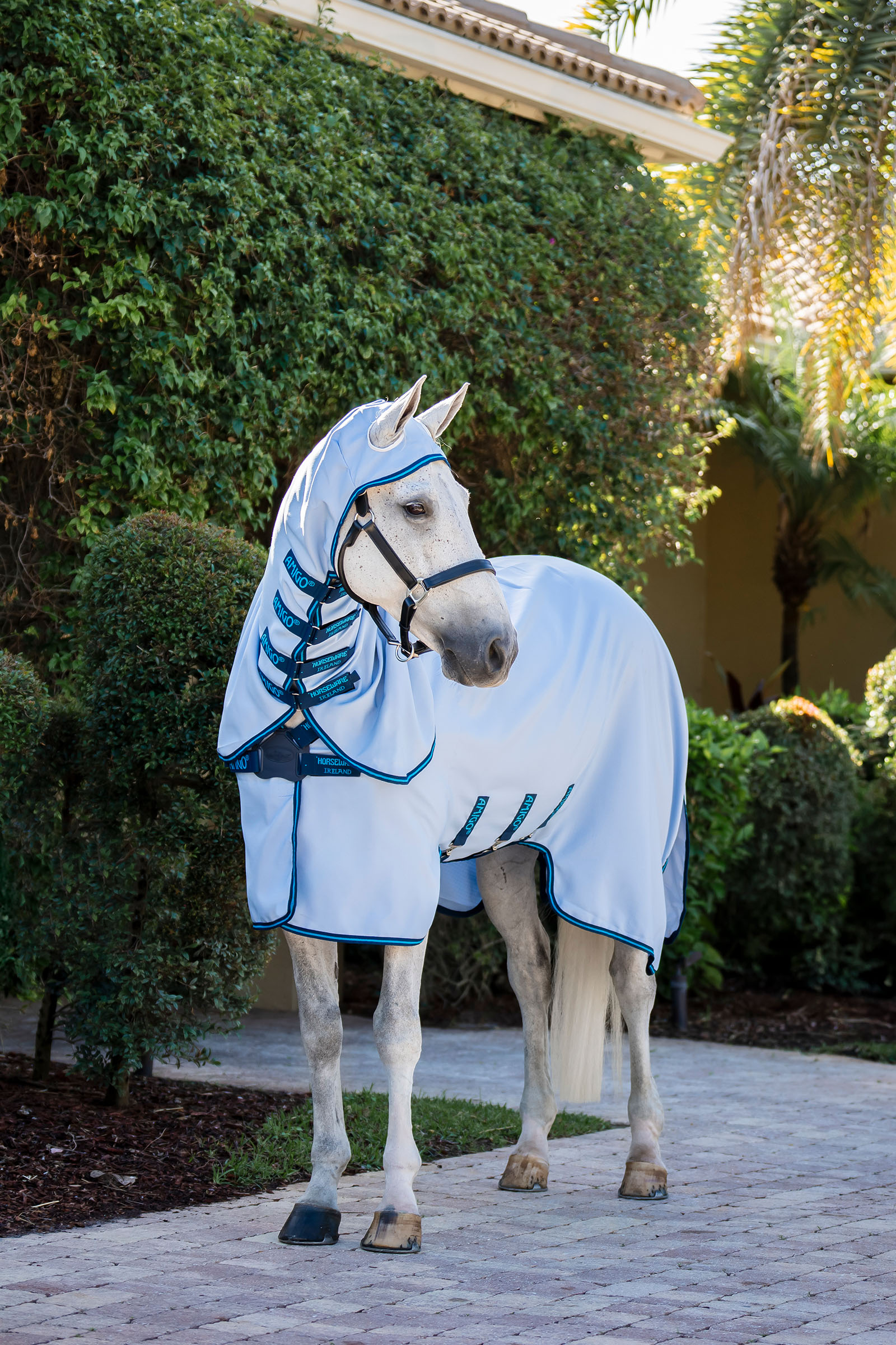 Horseware Amigo Ripstop Couverture anti-mouches