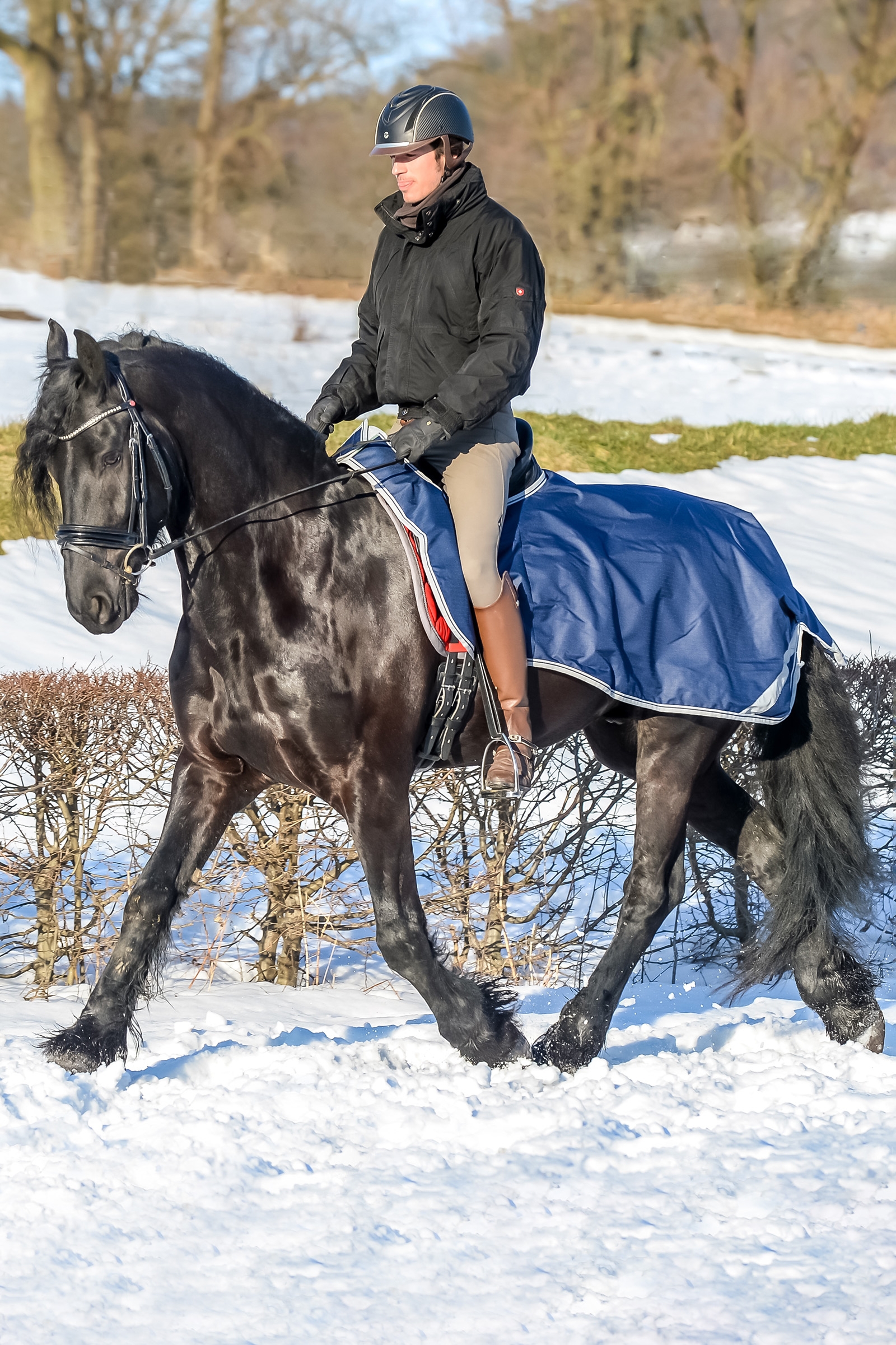 Couverture d'équitation Bucas