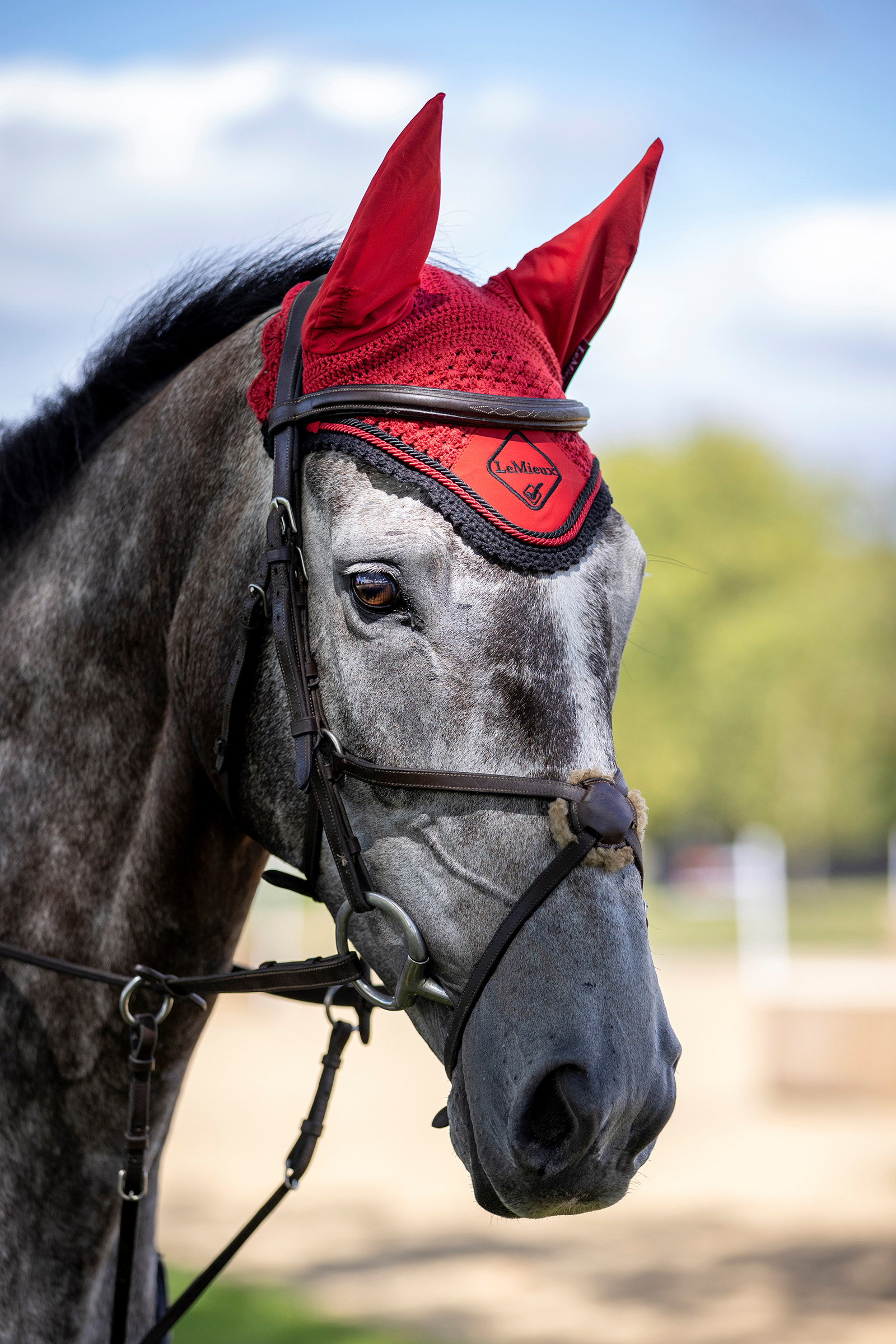 Bonnet anti-mouches LeMieux Classic