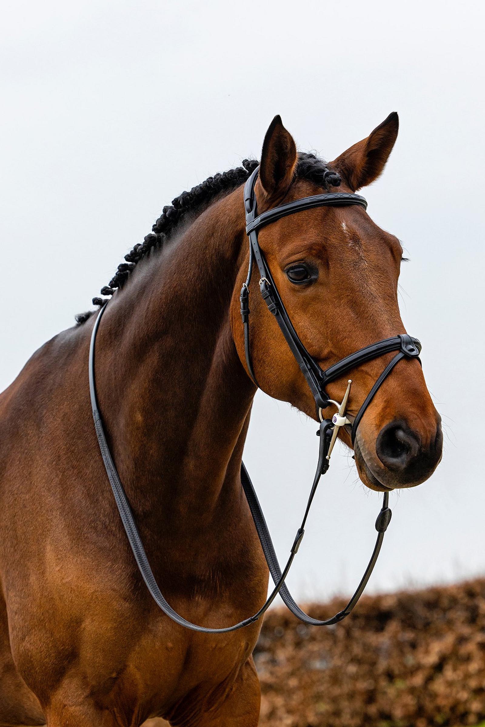 Trust Equestrian Geneva Combined Noseband Bridle