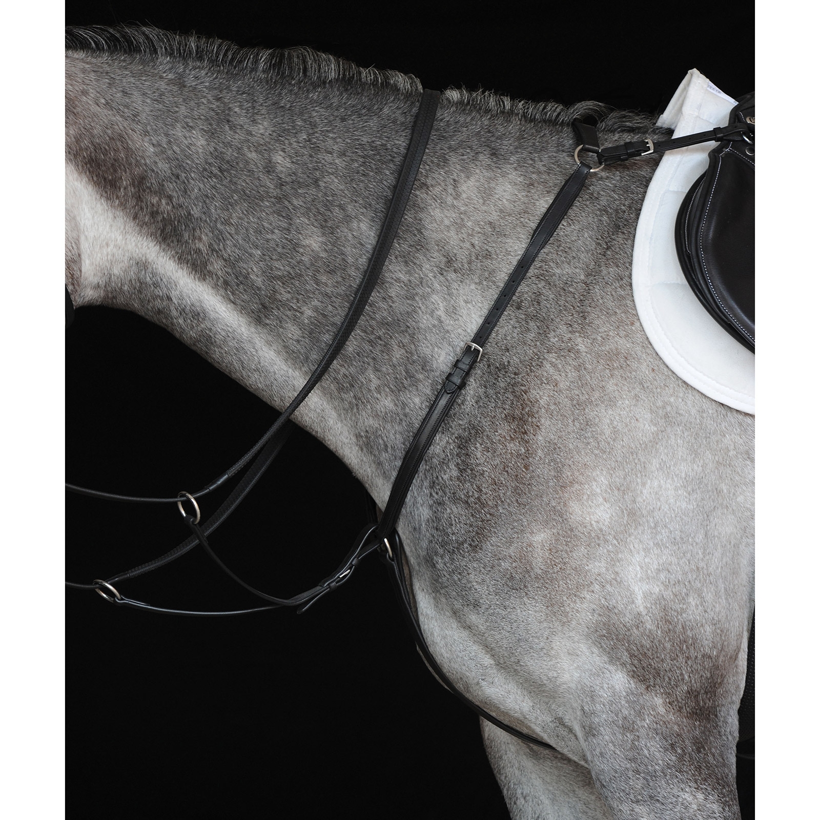 Collier de chasse Hunter Collegiate IV