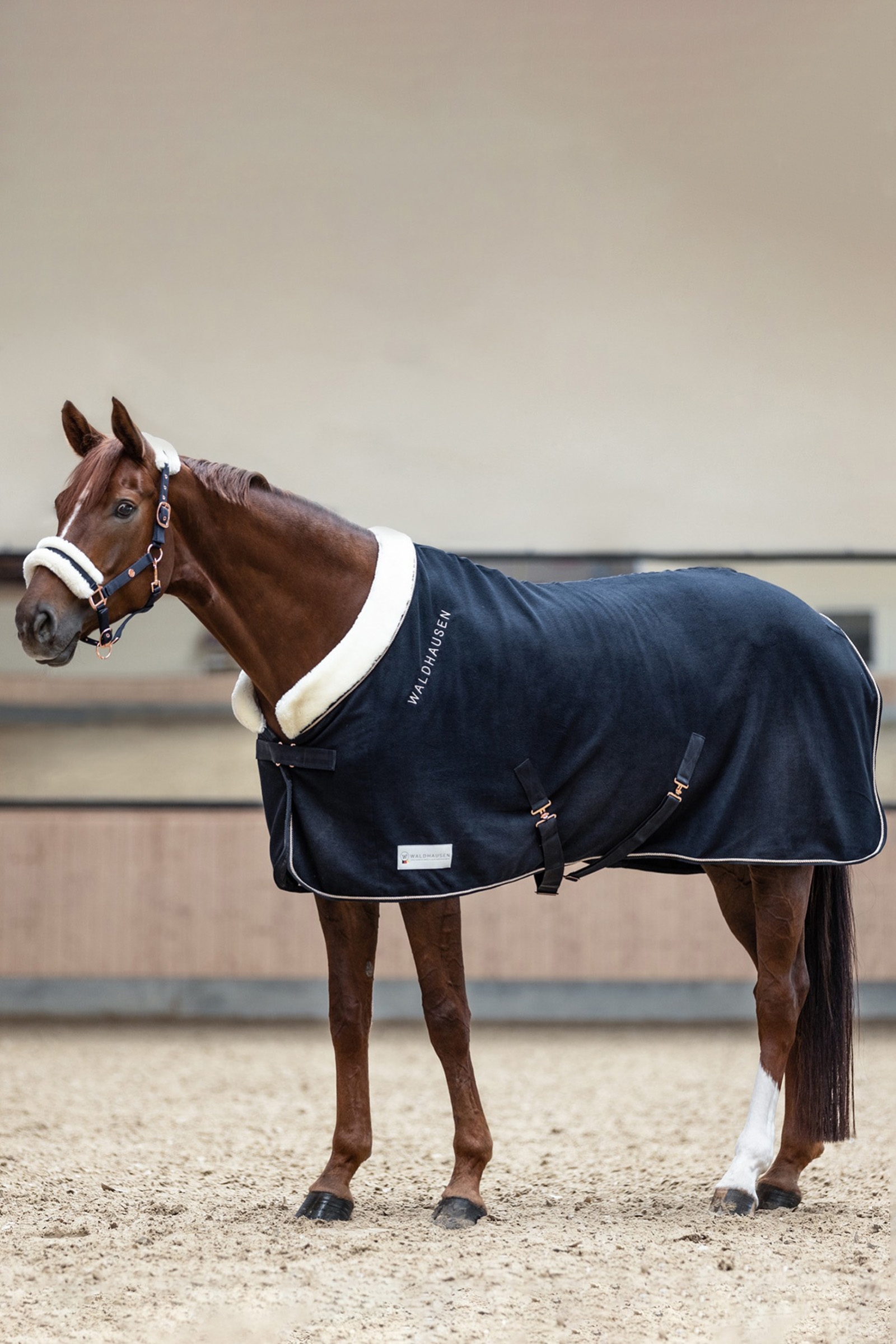 Waldhausen Rosé Modern Couverture Polaire