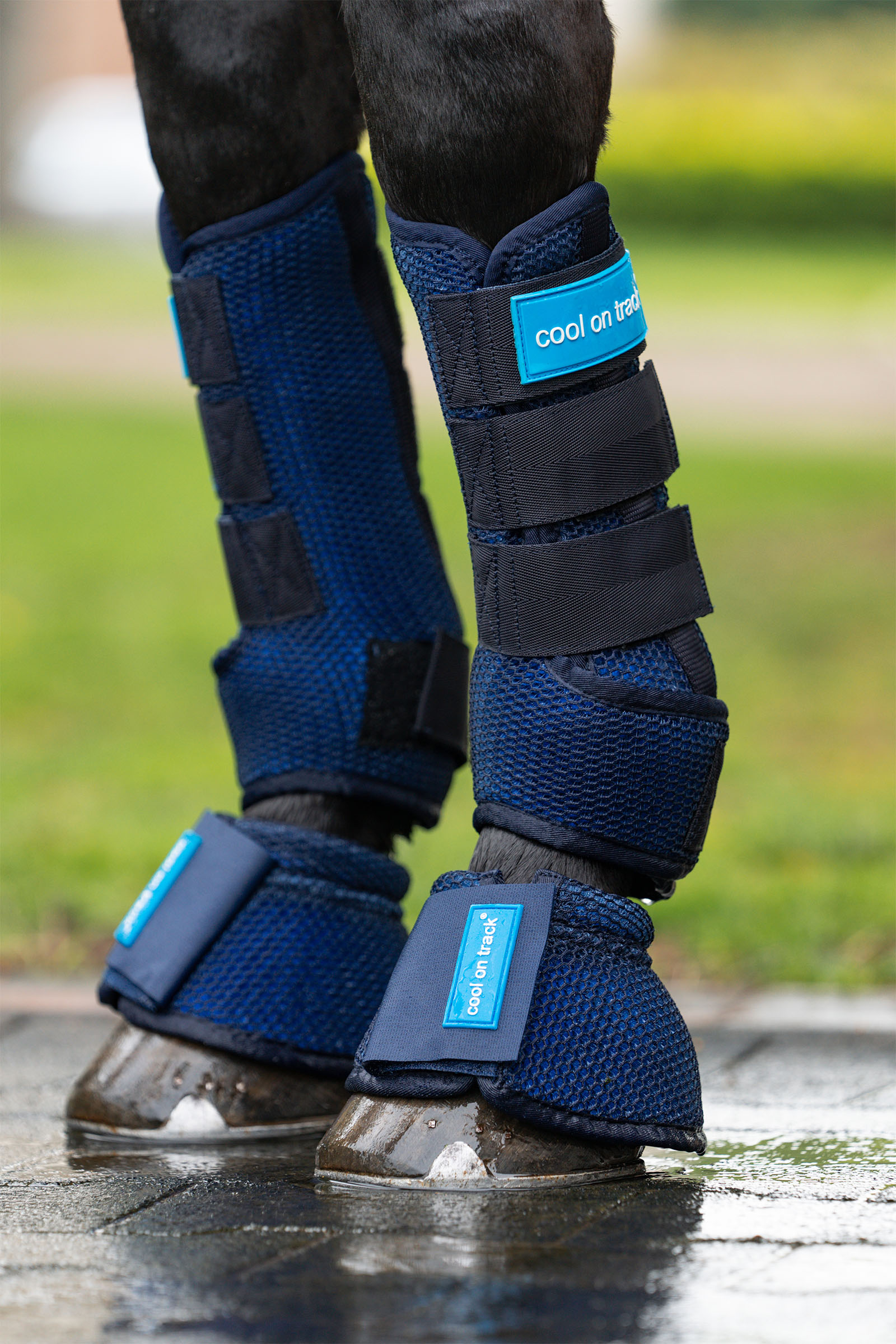 Back on Track Cool on Track gu&ecirc;tres