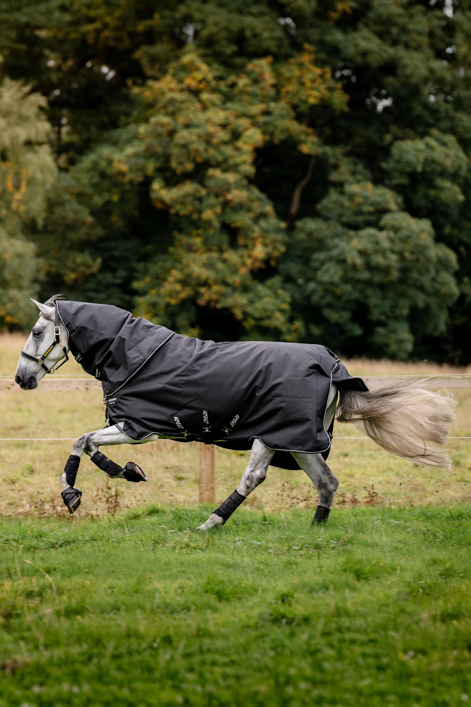 Horseware Amigo Super Bravo Plus couverture de prairie avec partie de cou amovible, 250 g