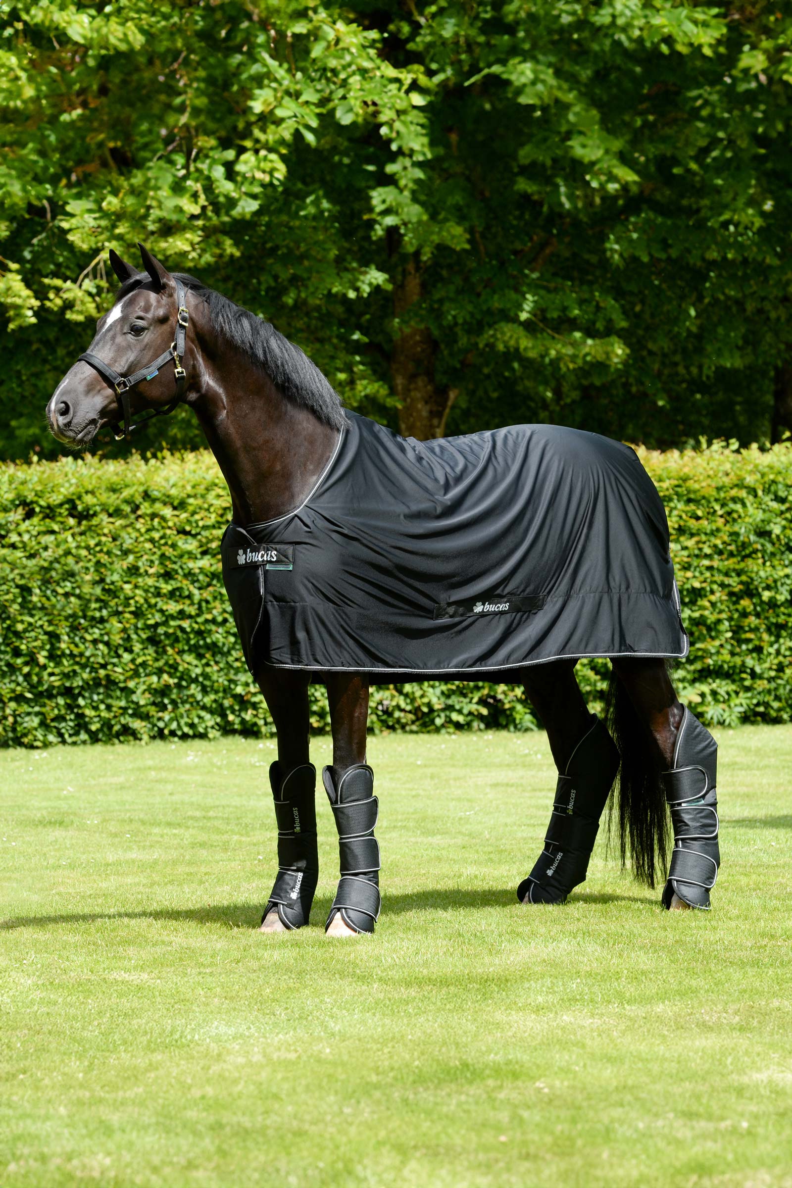 Bucas Freedom bottes de voyage