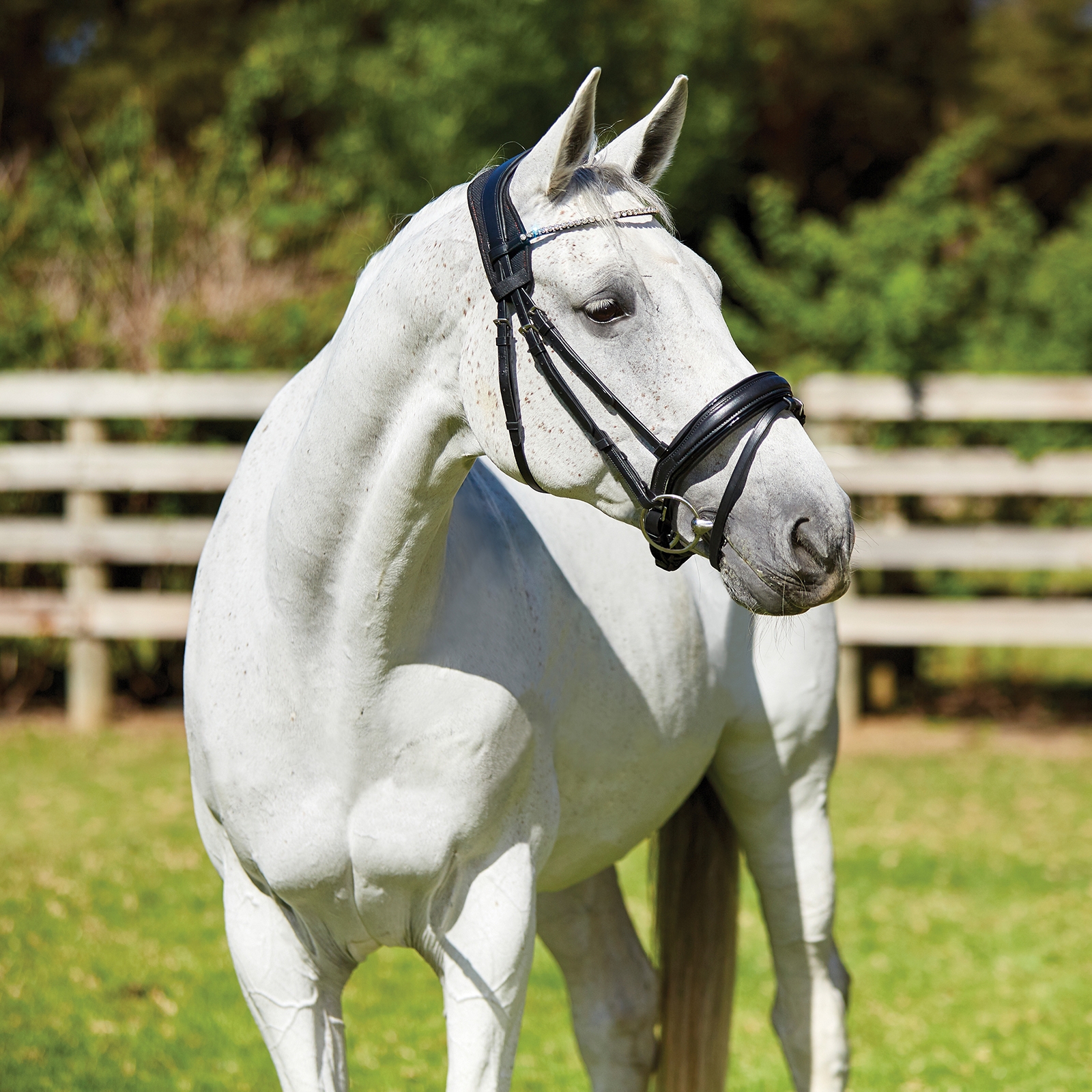 Weatherbeeta Therapy-tec Anatomical Poll Pad