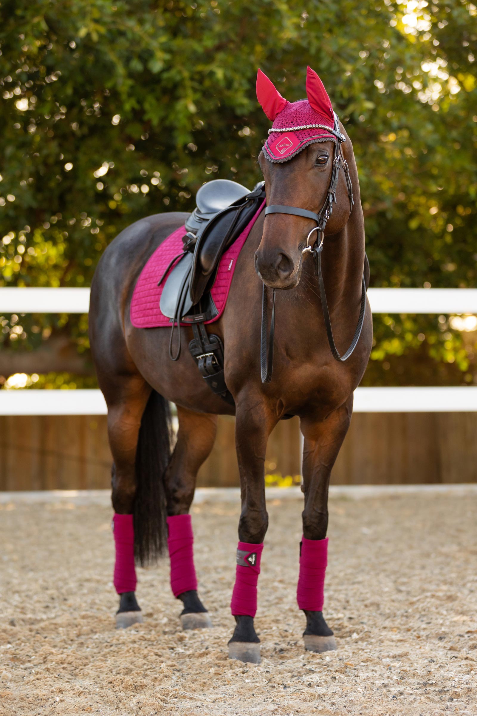 Tapis de Dressage LeMieux Luxe Saison