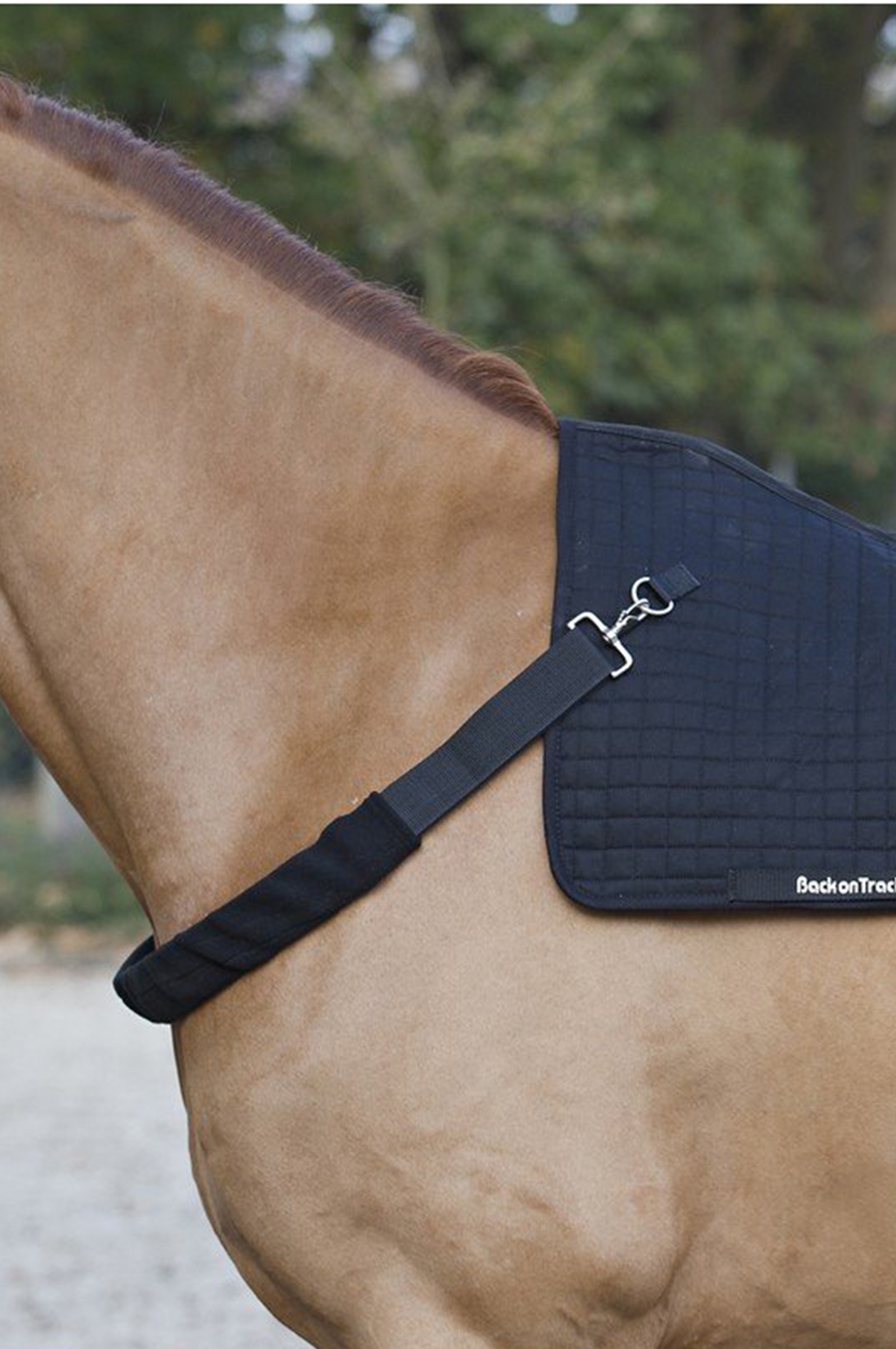Sangle de Poitrail  Back-On-Track