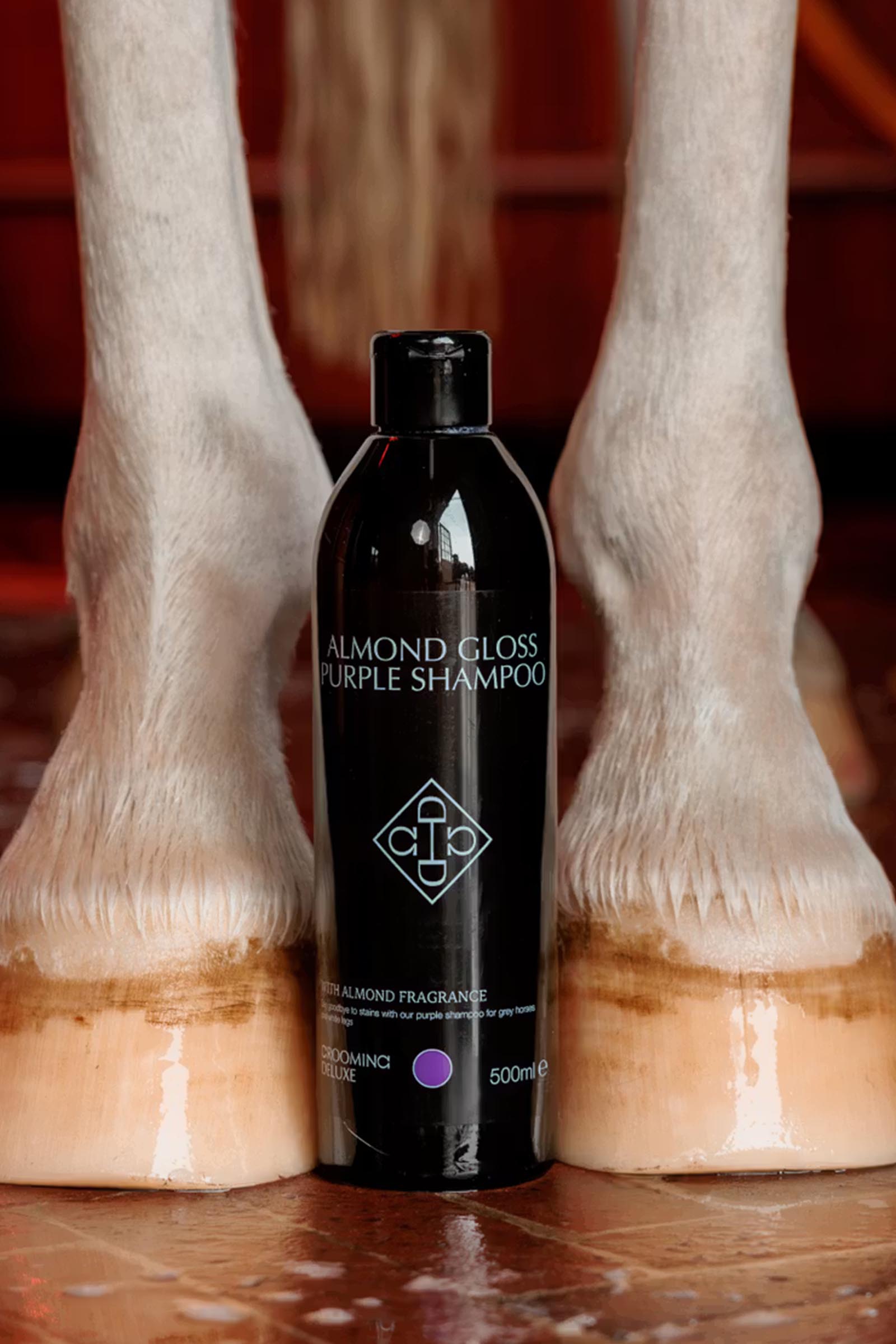 Grooming Deluxe Shampooing violet brillant amande, 500 ml