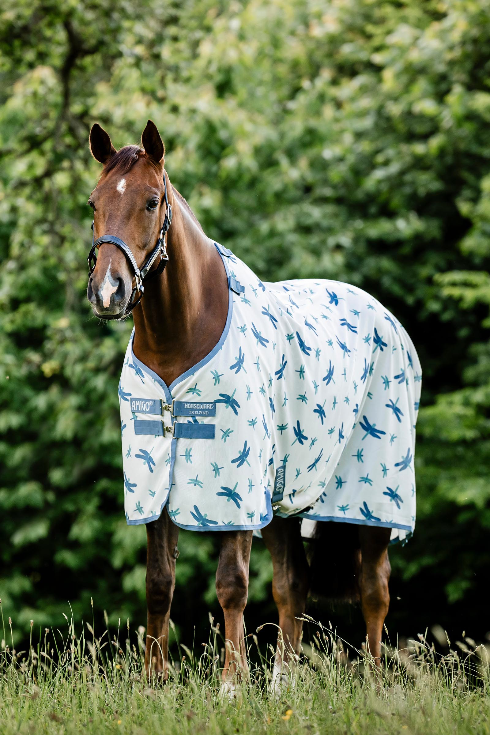 Dragonfly Print/Silver, Blue & Sage Horseware Amigo couverture anti-mouches avec protection UV