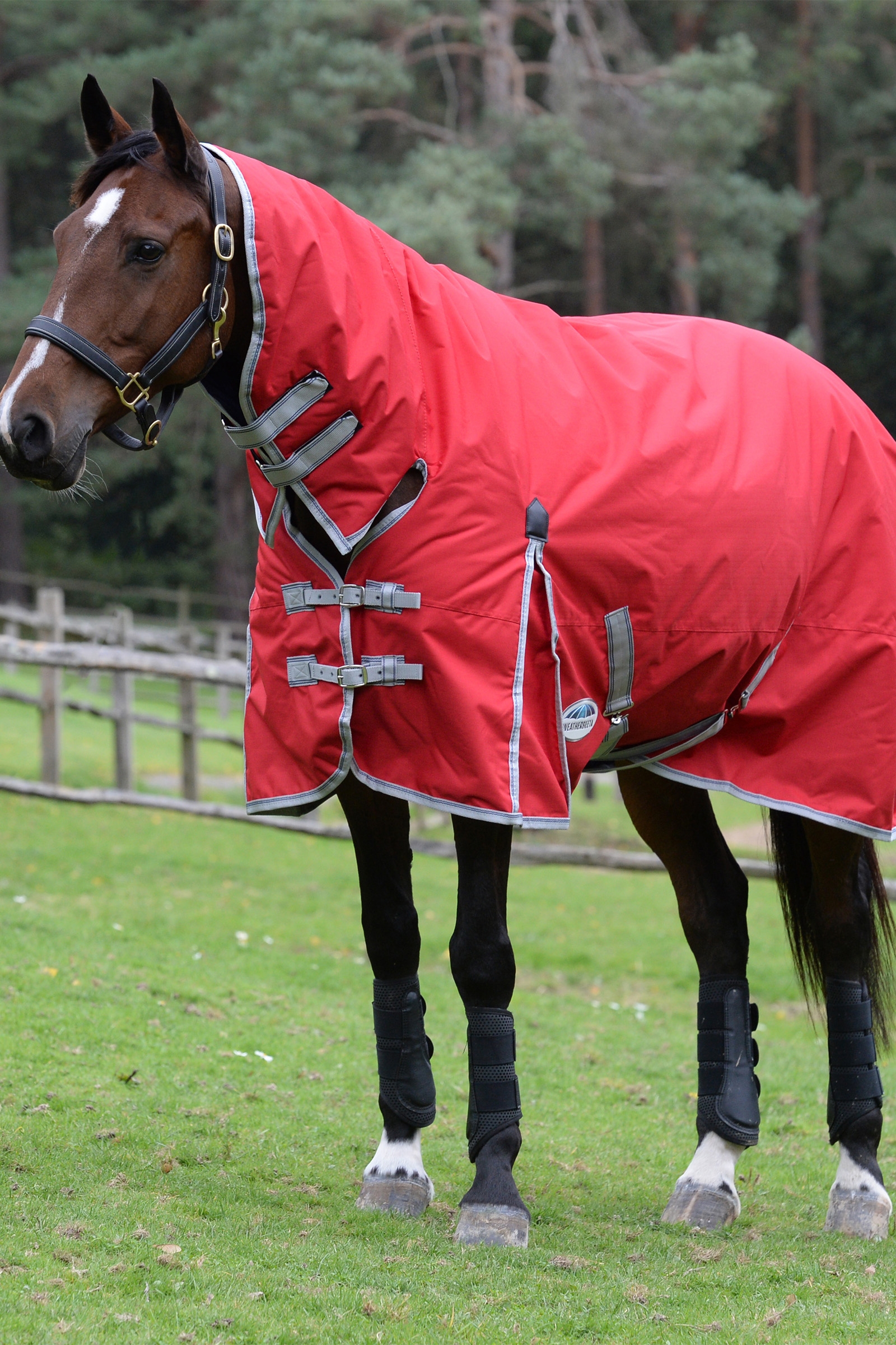 Weatherbeeta Comfitec Classic Couvertures cheval avec encolure intégrée, 50g
