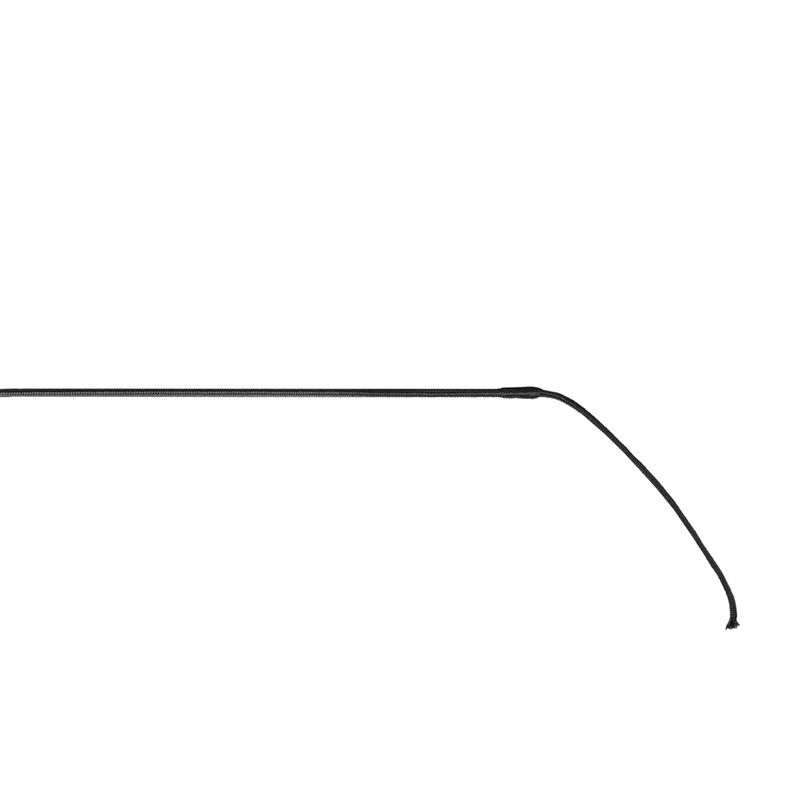 Cravache de dressage Shiny Horze