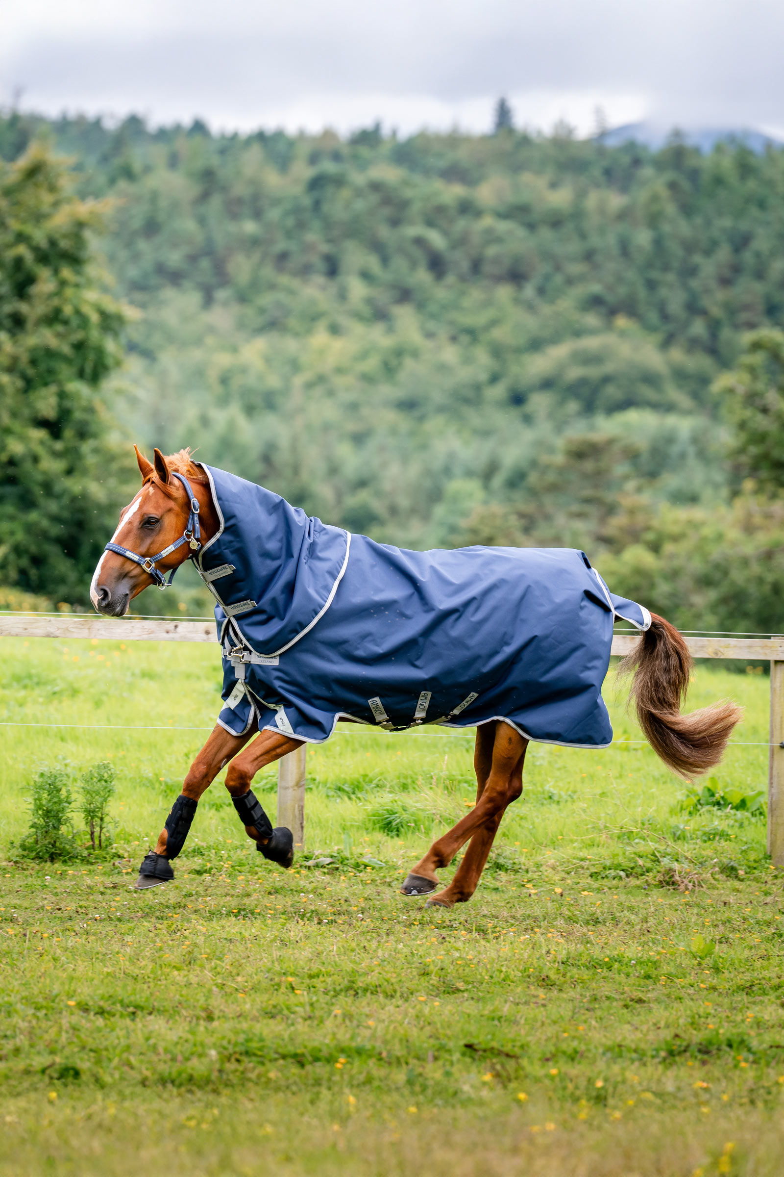 Horseware Amigo 1200D Plus couverture imperm&eacute;able, 50 g