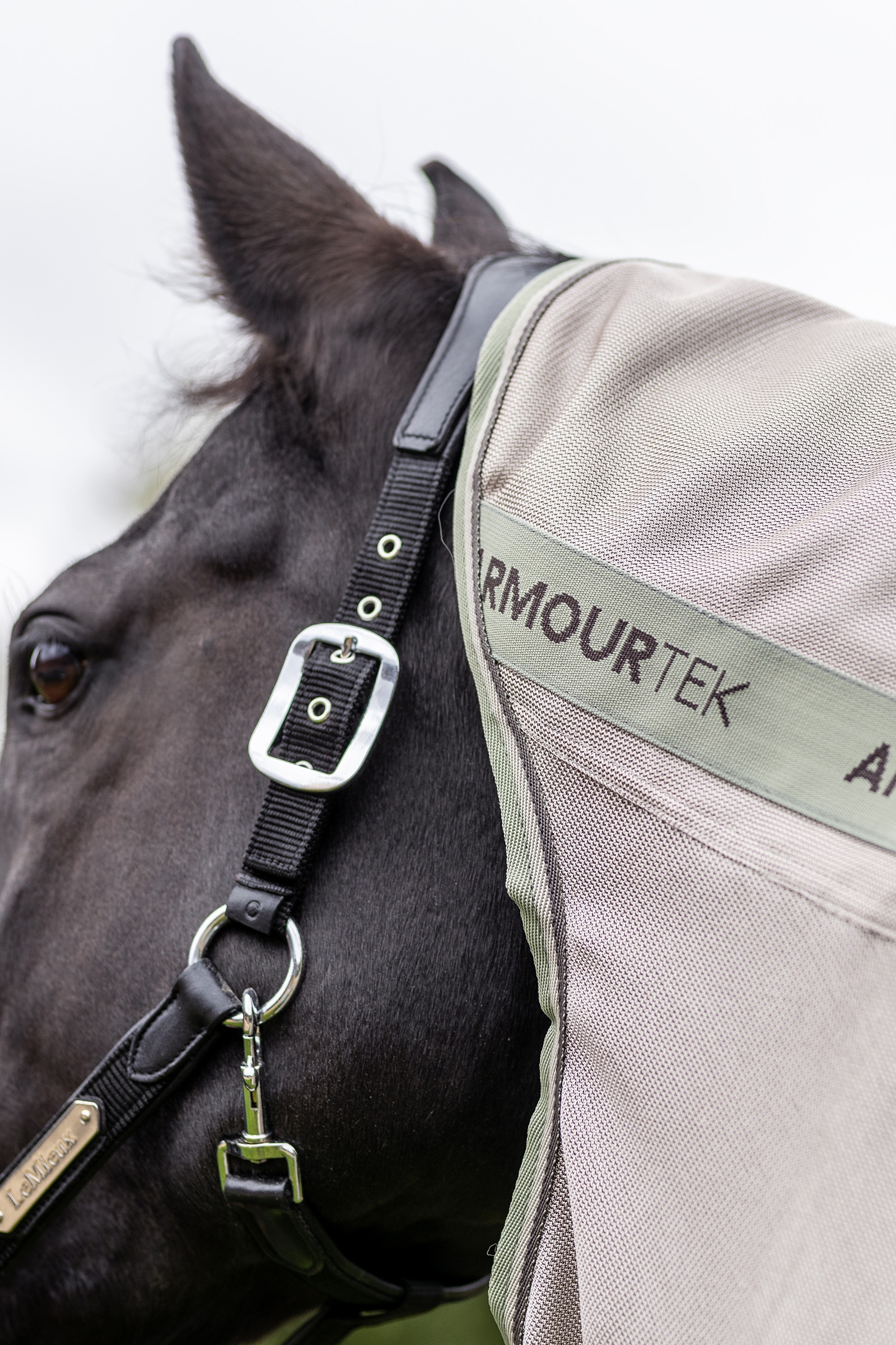 LeMieux Arika Armour-Tek Couverture Anti-Mouches avec encolure amovible