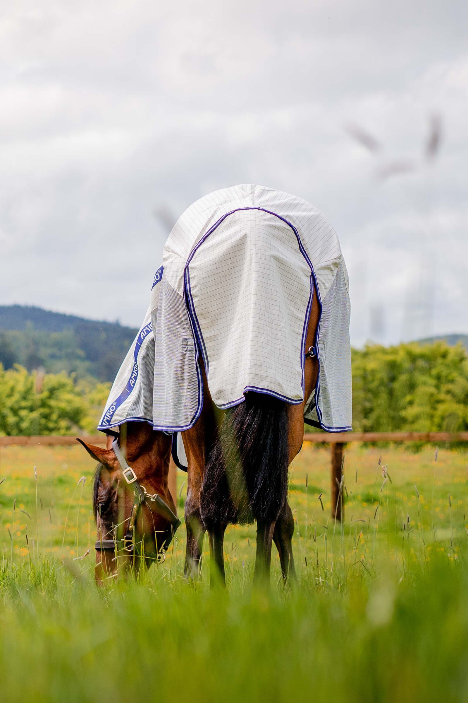 Horseware Amigo Airflow couverture anti-mouches avec partie de cou amovible