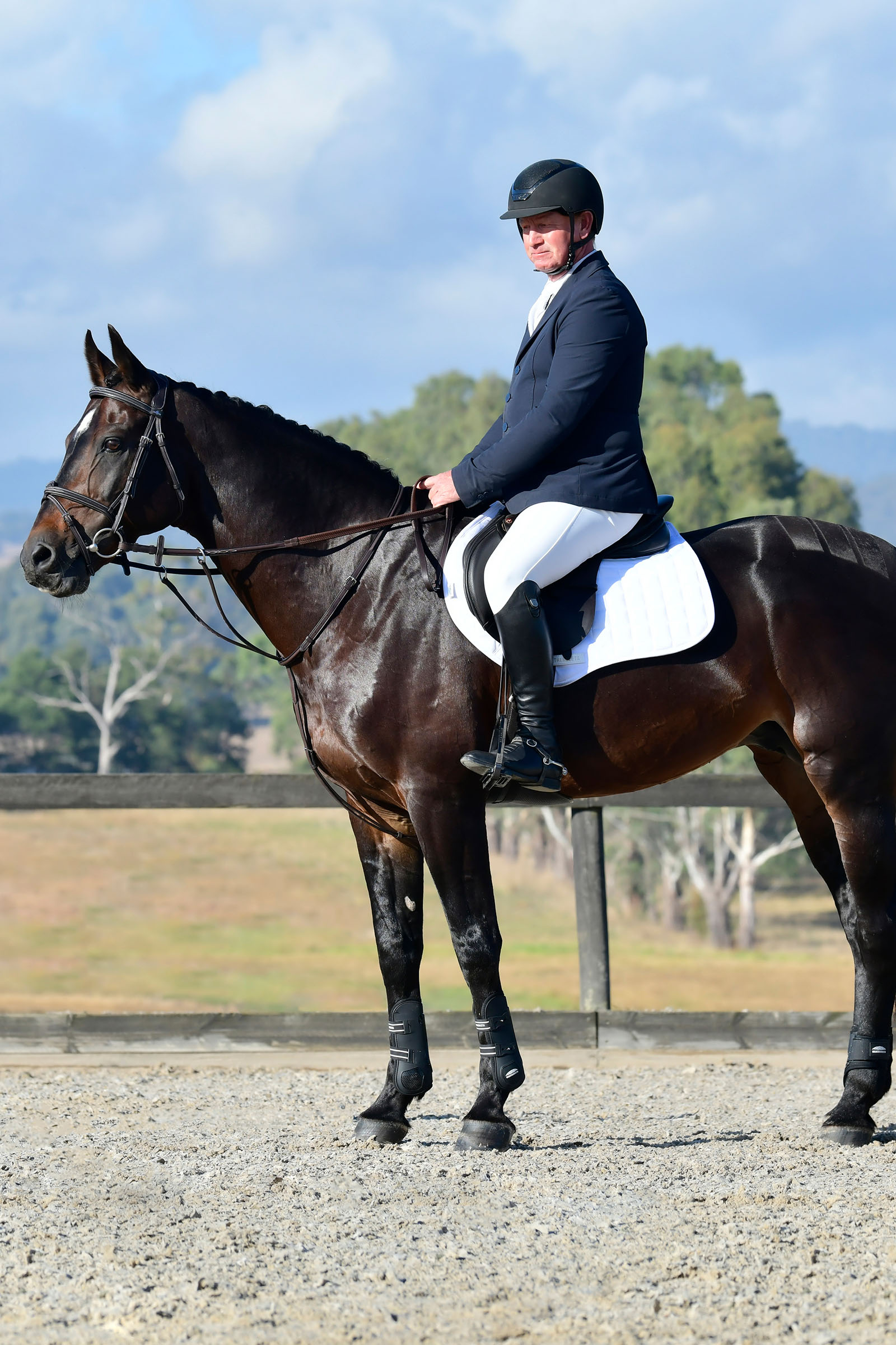 Collegiate Comfitec Opulux Fancy Stitch bride hanovrienne matelassée