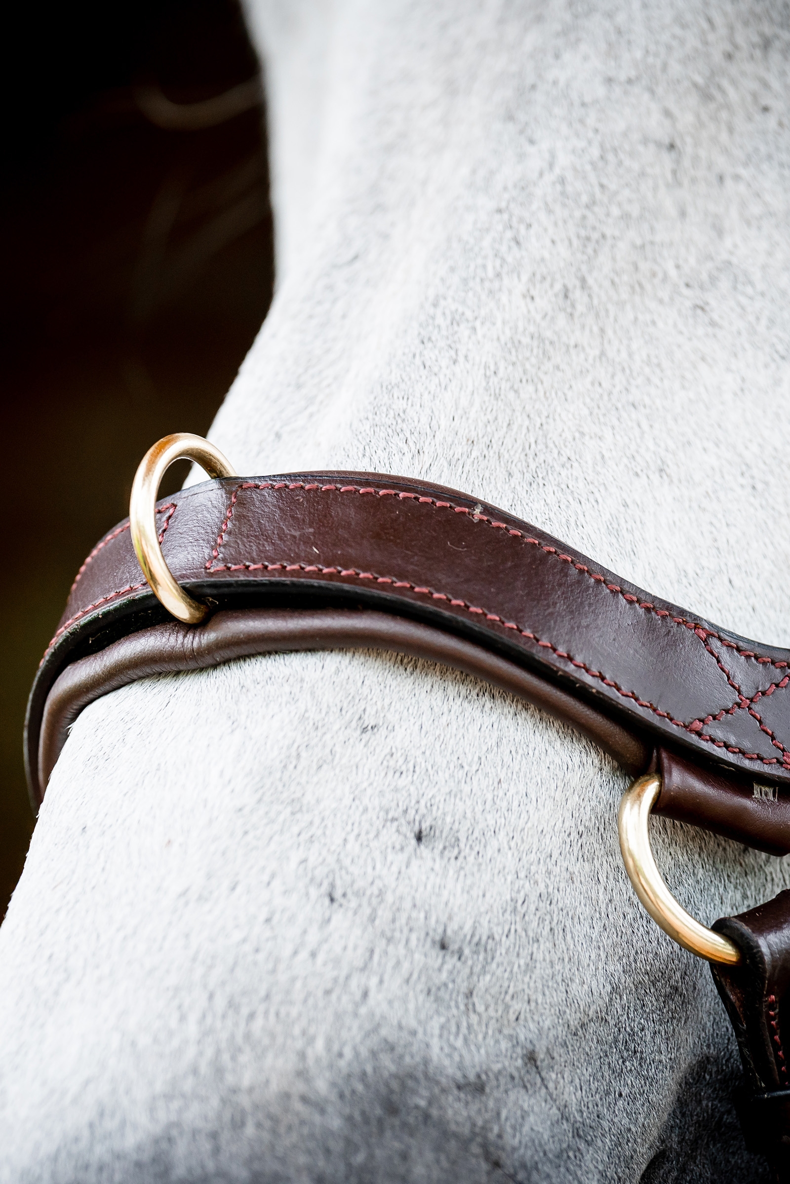 Horseware Micklem 2 Multi Bride