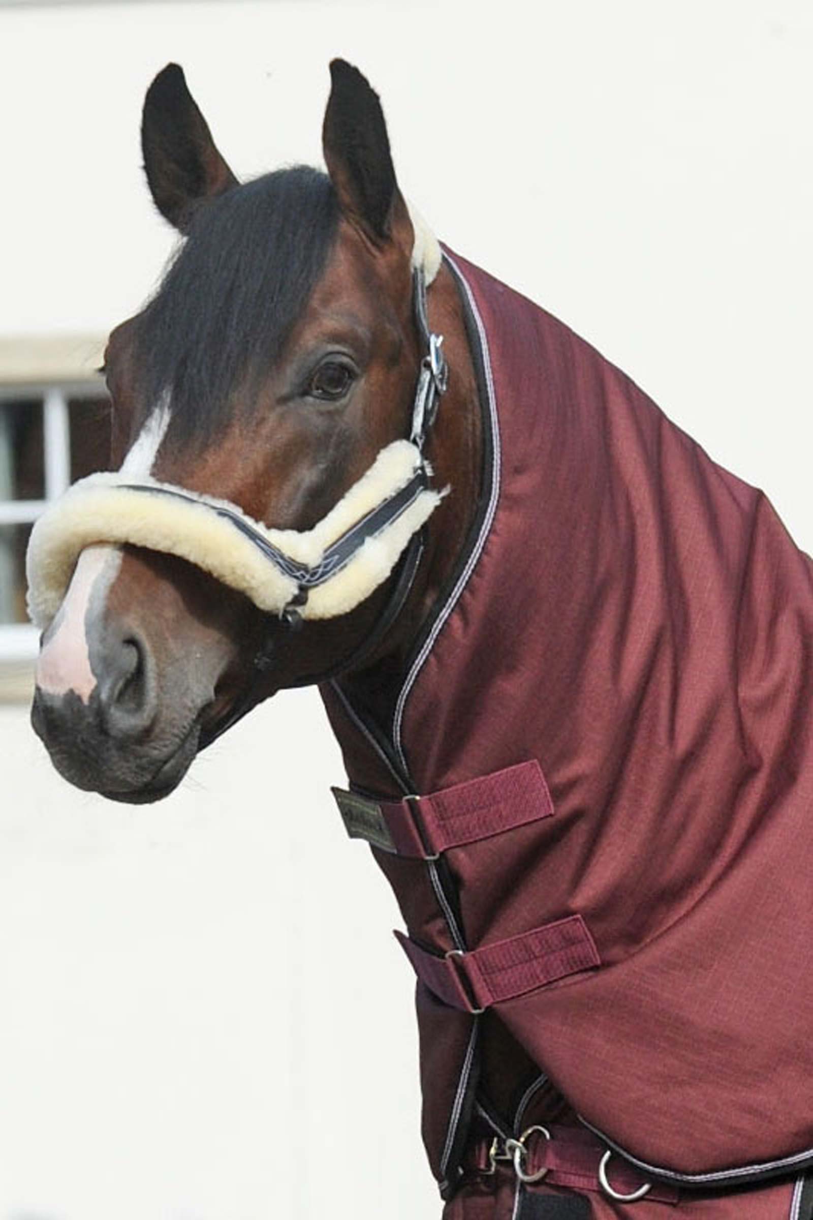 Couvre-encolure Kavalkade pour Alaska IV, 100 g