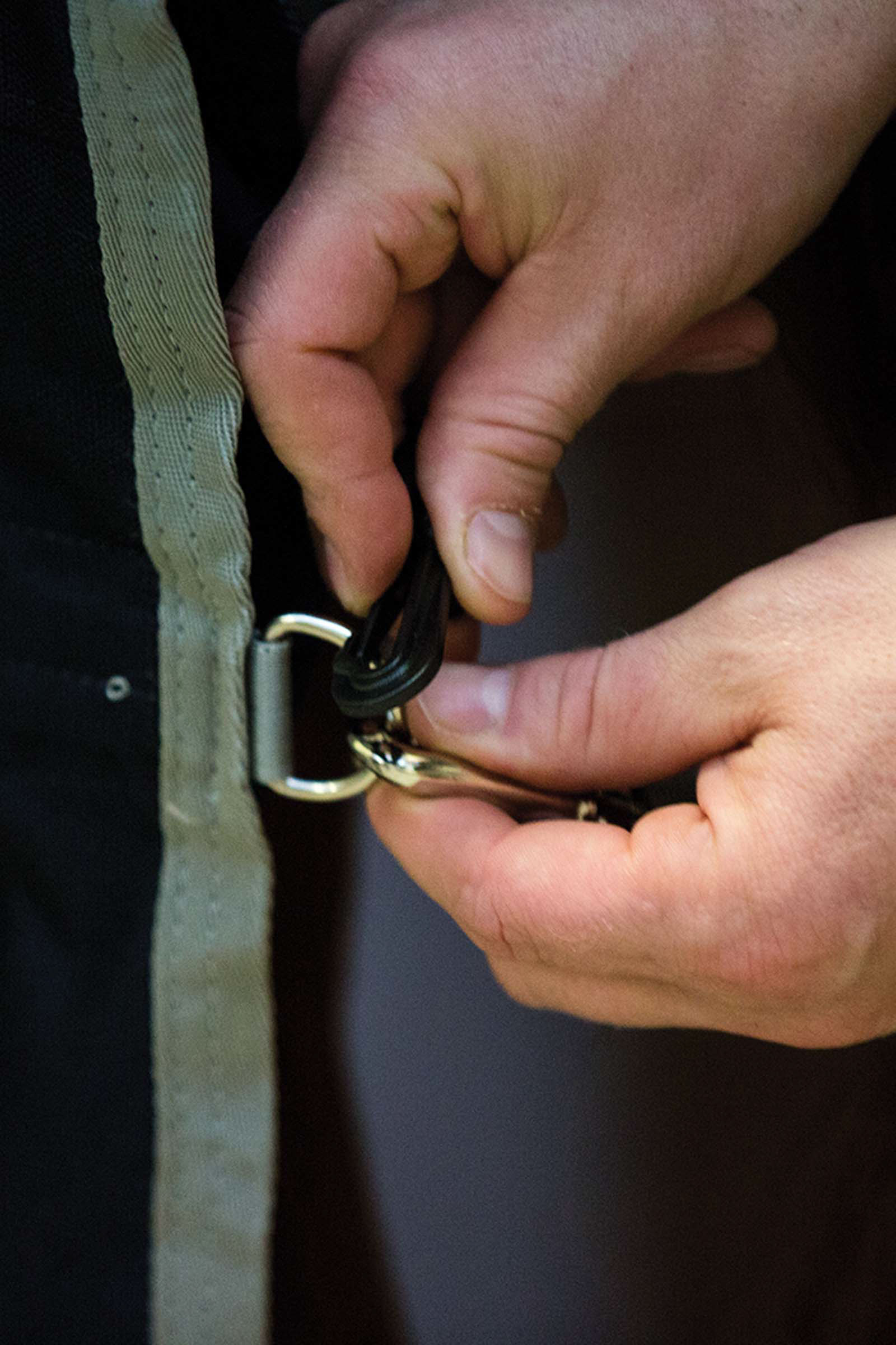 Horseware sous-couverture 300 g