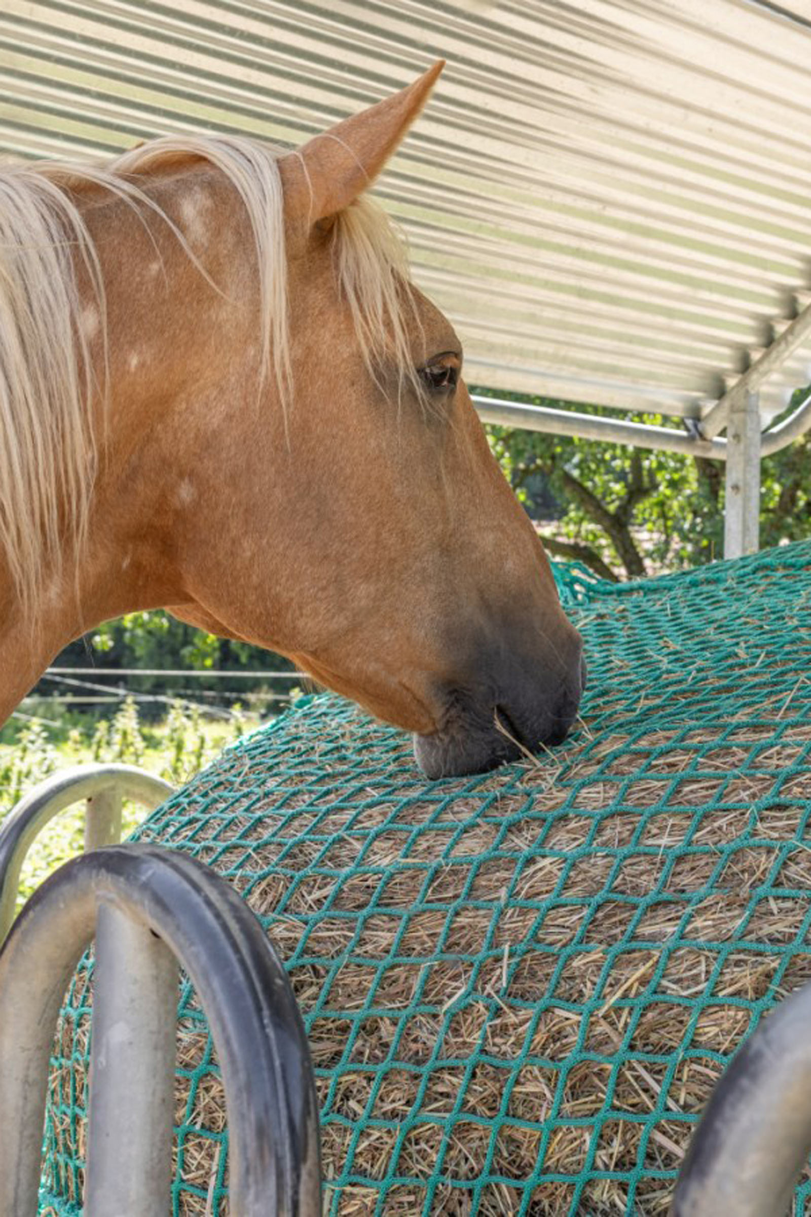 Filet à foin Kerbl pour balles rondes, suspendable