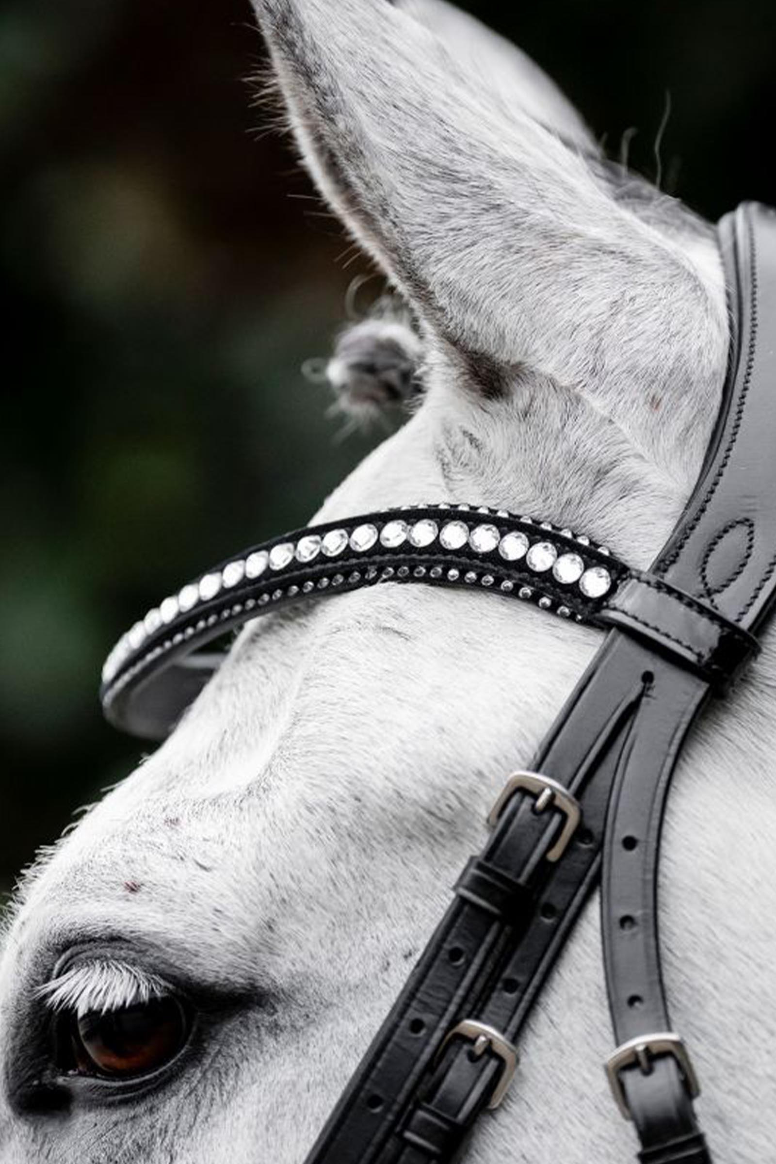 Horseware Diamante bridon avec muserolle combin&eacute;e