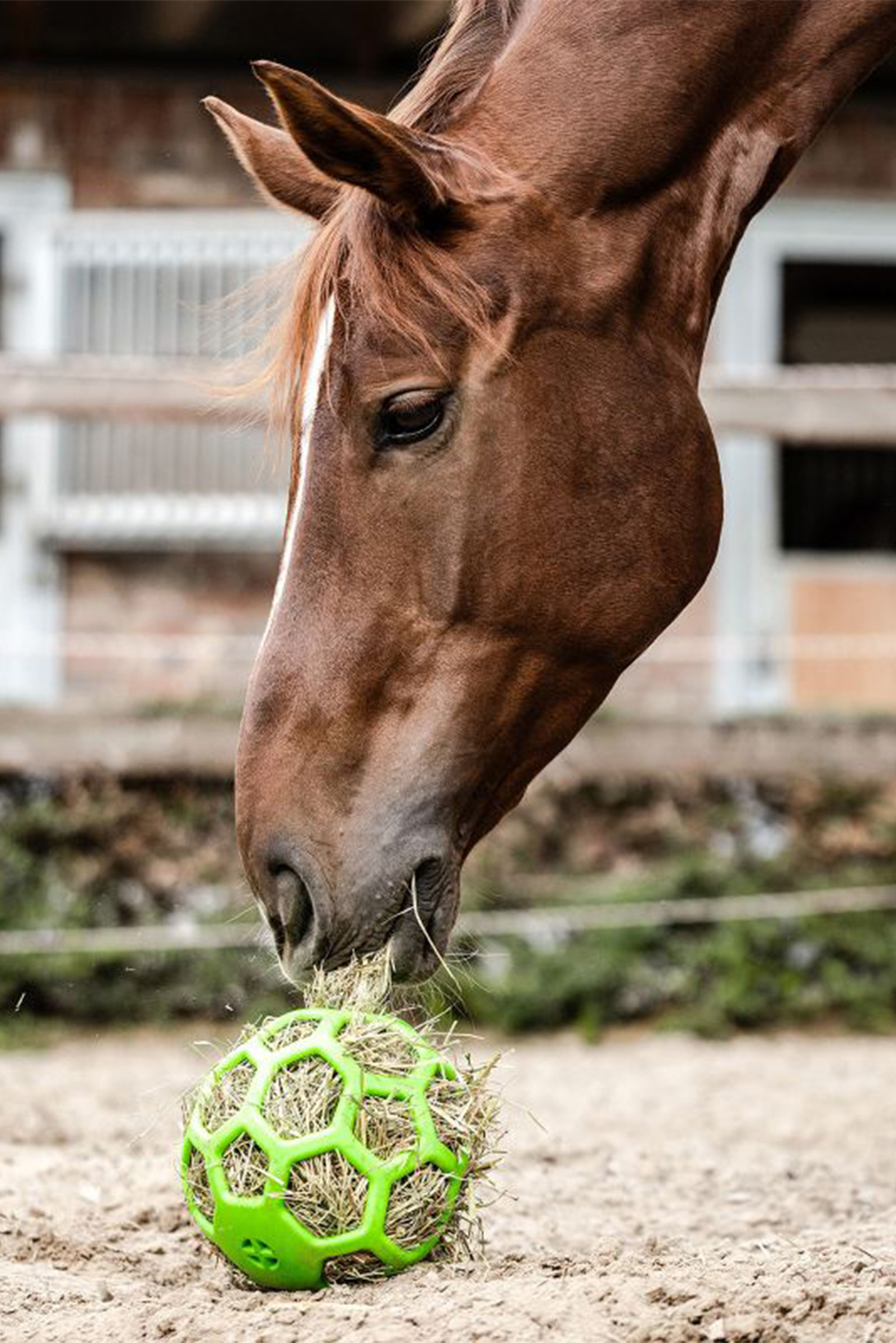 Waldhausen balle &agrave; foin