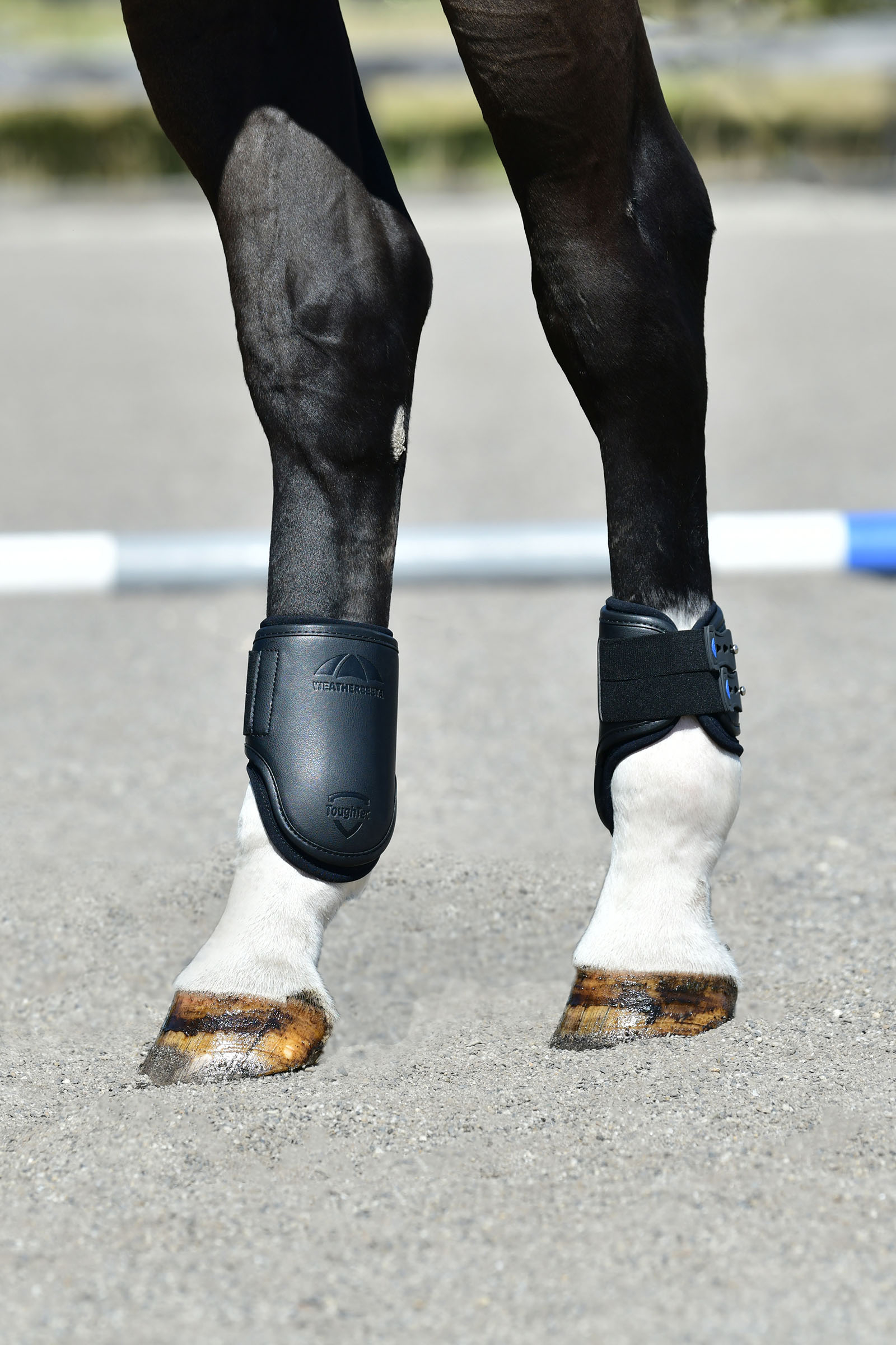 Weatherbeeta Tough-Tec Pro Prot&egrave;ge-boulets arri&egrave;re