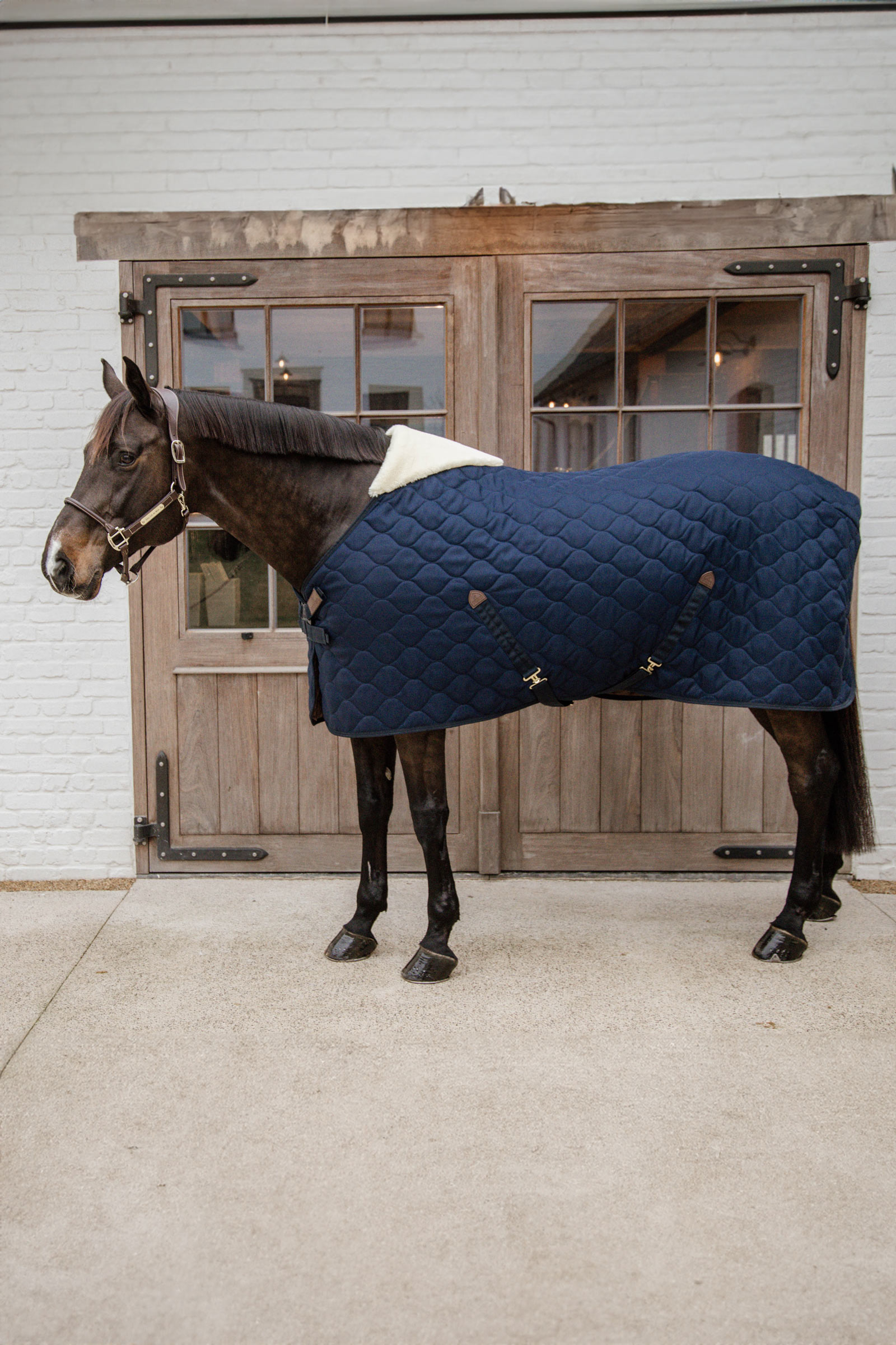 Kentucky Horsewear Comfort Couverture d'écurie 100g