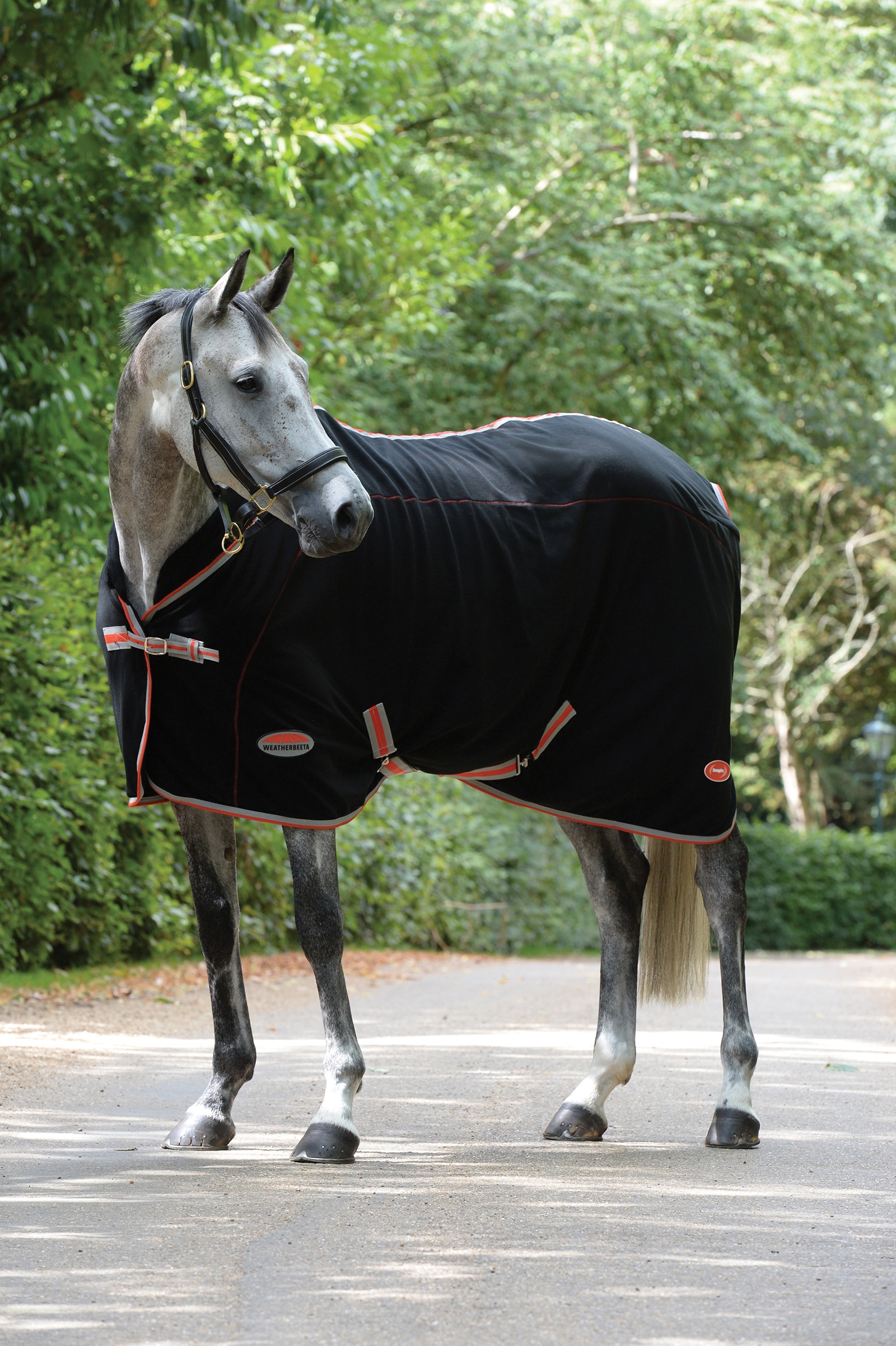 Couverture technique thérapeutique Weatherbeeta Therapy-Tec