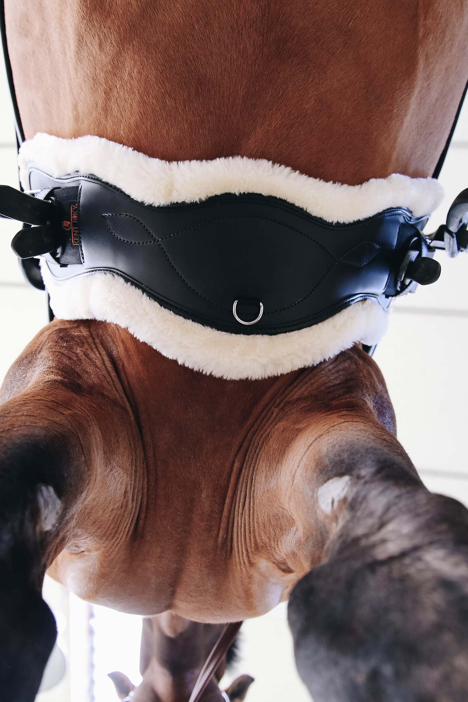 Mouton amovible pour sangle anatomique sheepskin Kentucky Horsewear