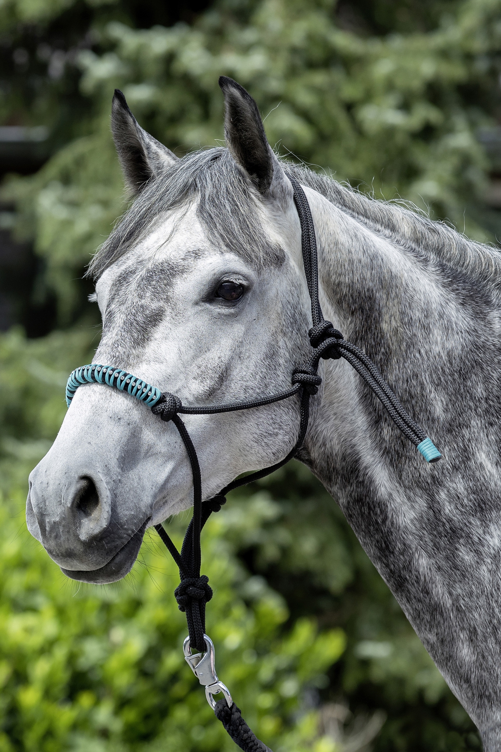 Licol en corde à nœuds USG