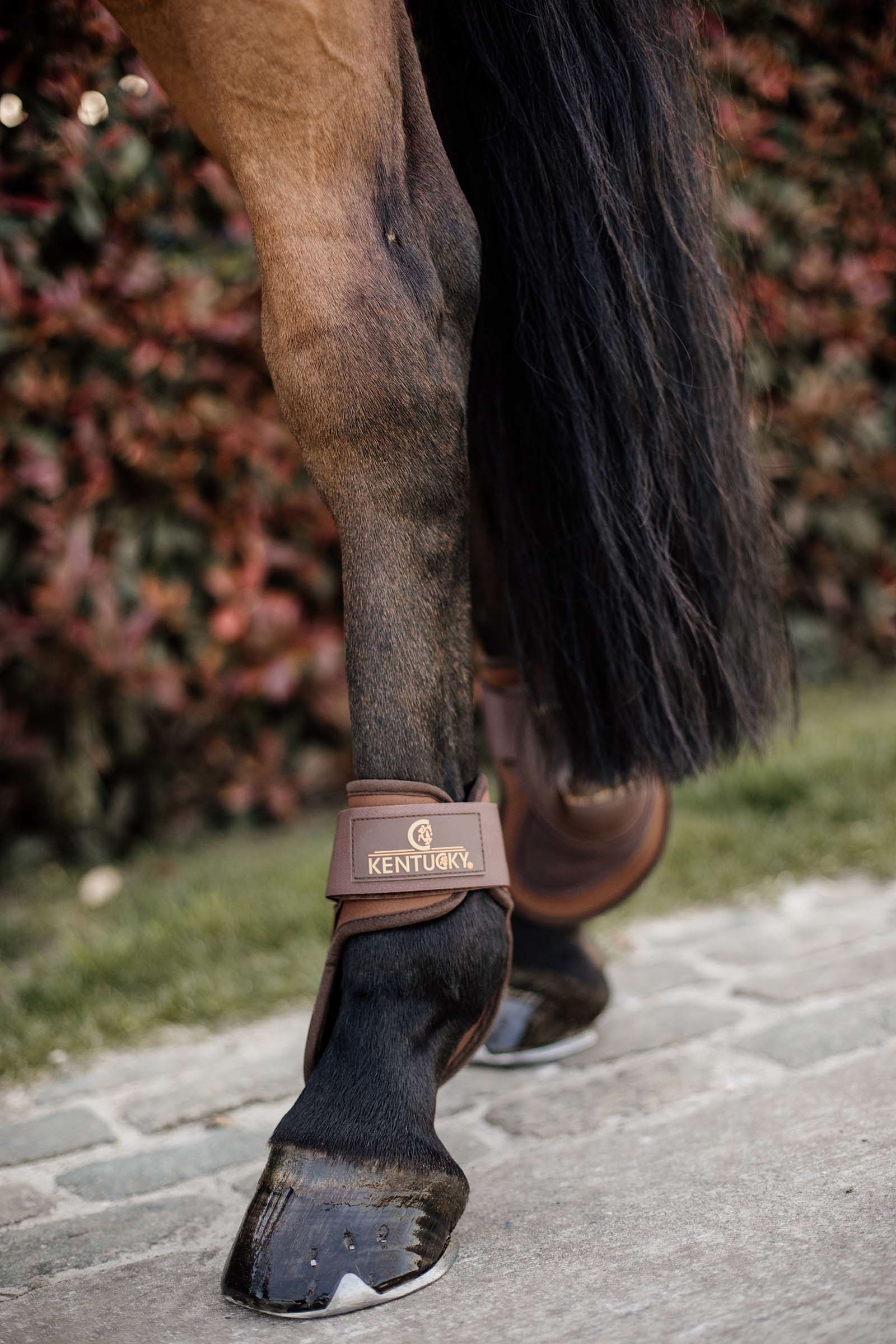 Kentucky Horsewear Protège-boulet Deep