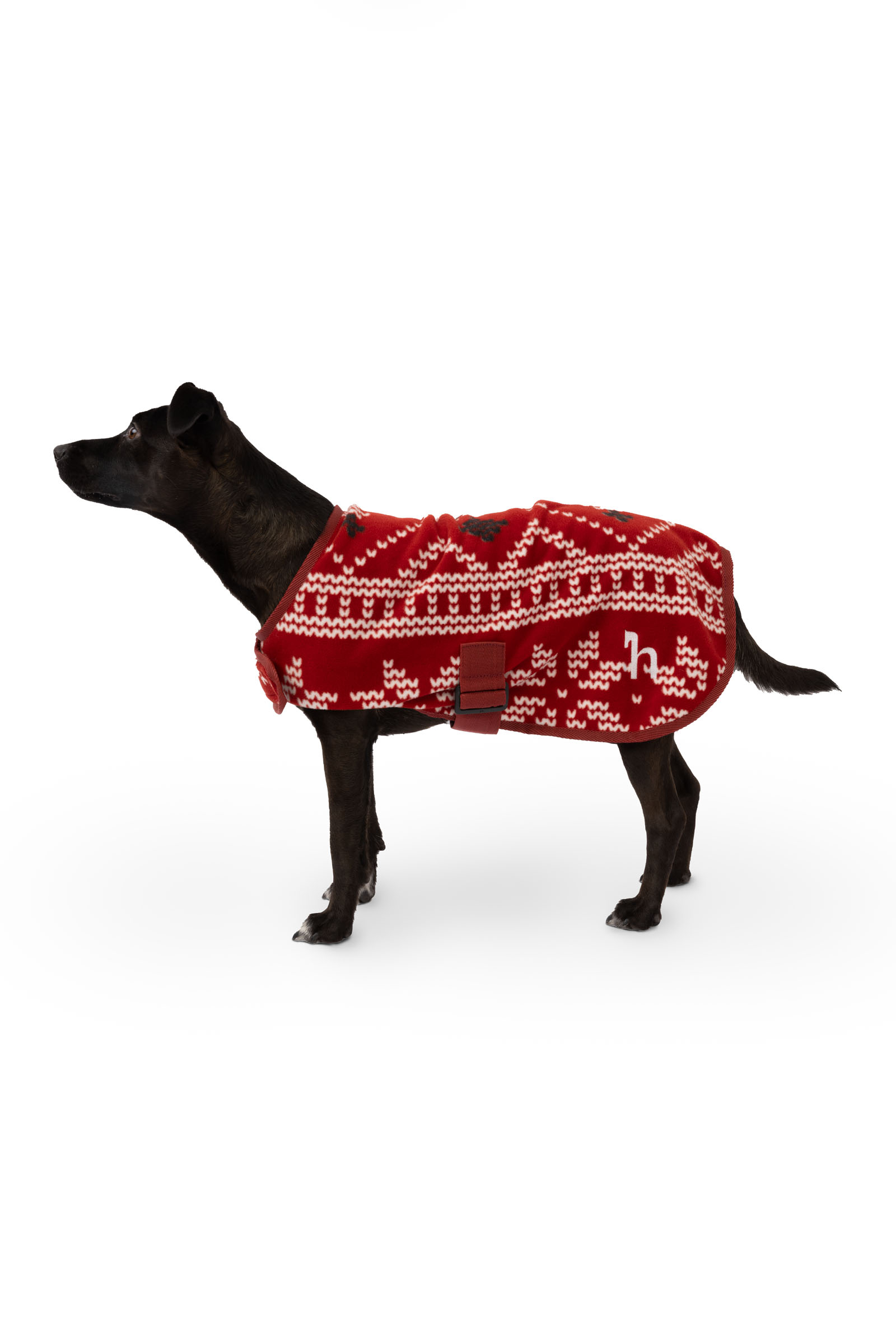 Pull de No&euml;l pour chien Horze