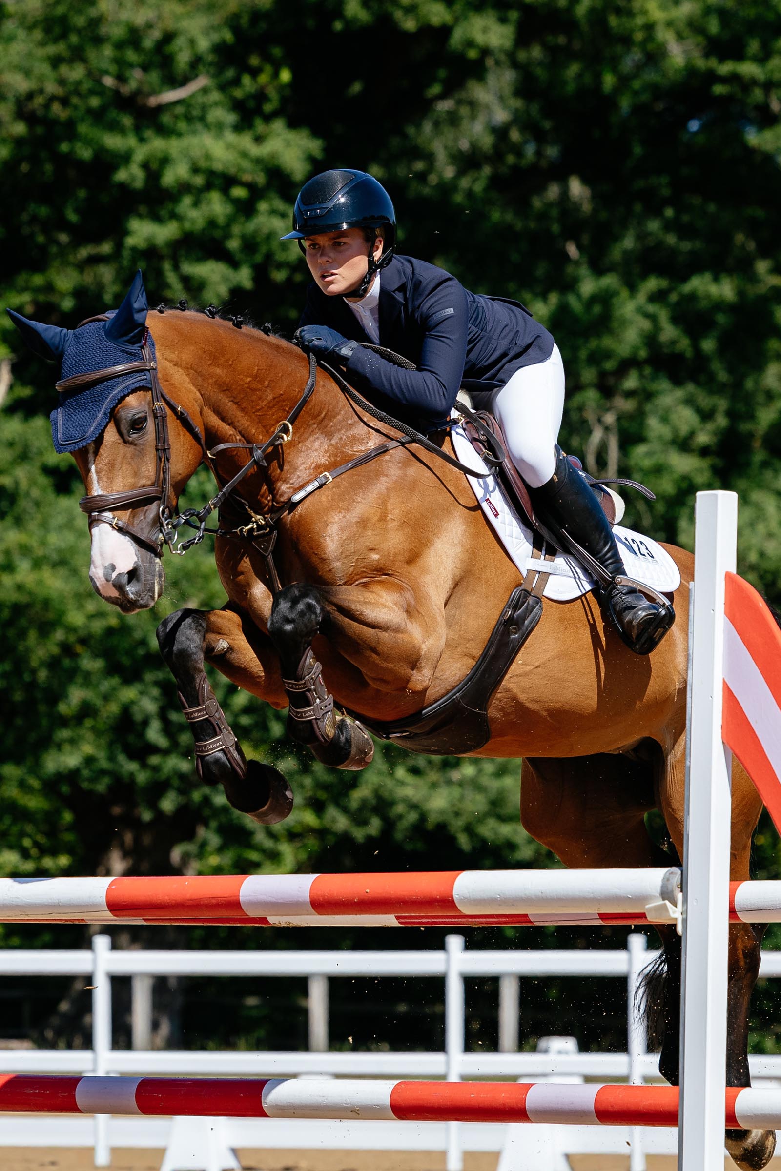 LeMieux Close Contact tapis de selle carr&eacute; coton polyvalent