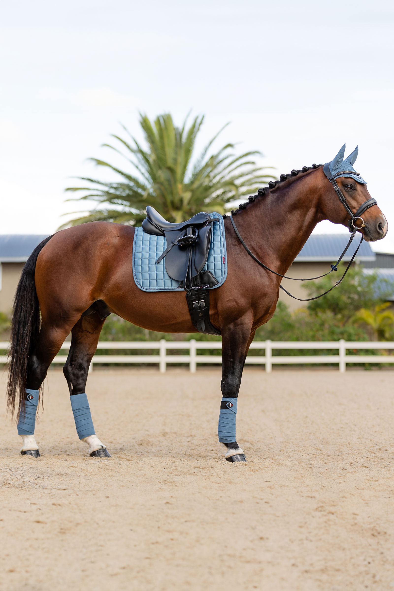 LeMieux Loire Memory Tapis de selle de dressage