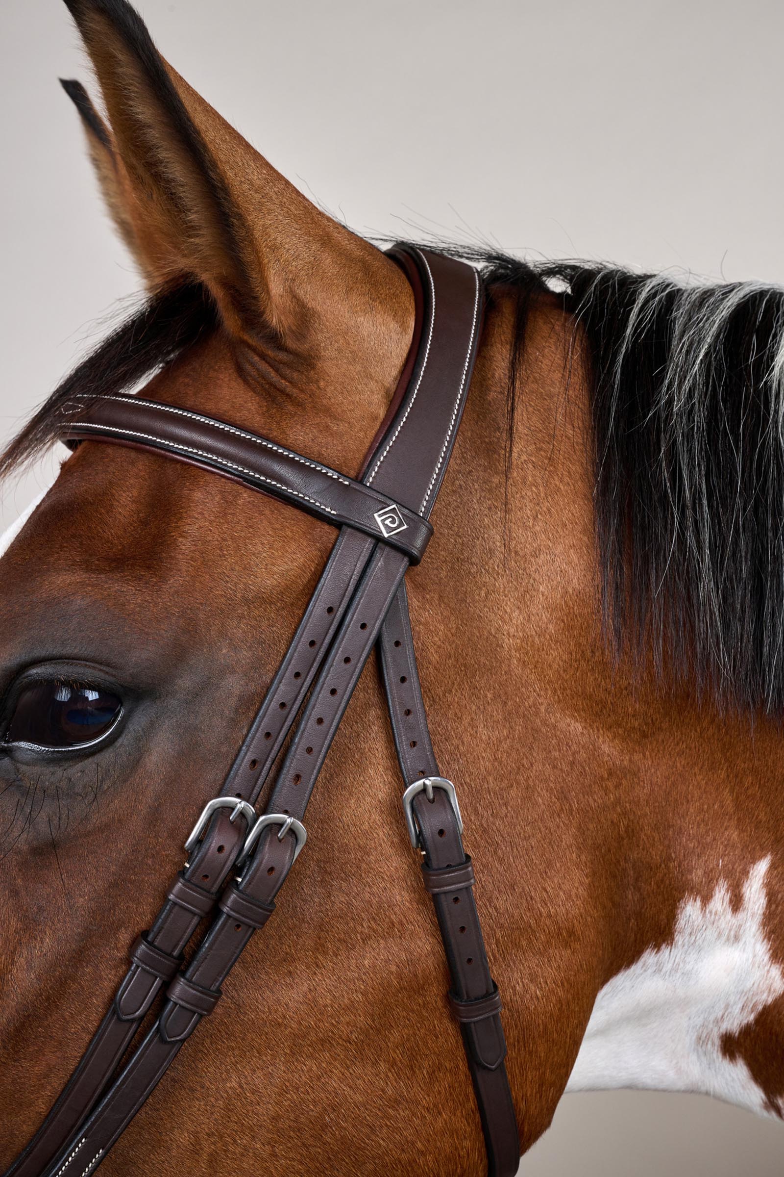 Dy'on Working bride muserolle combin&eacute;e avec mousquetons  