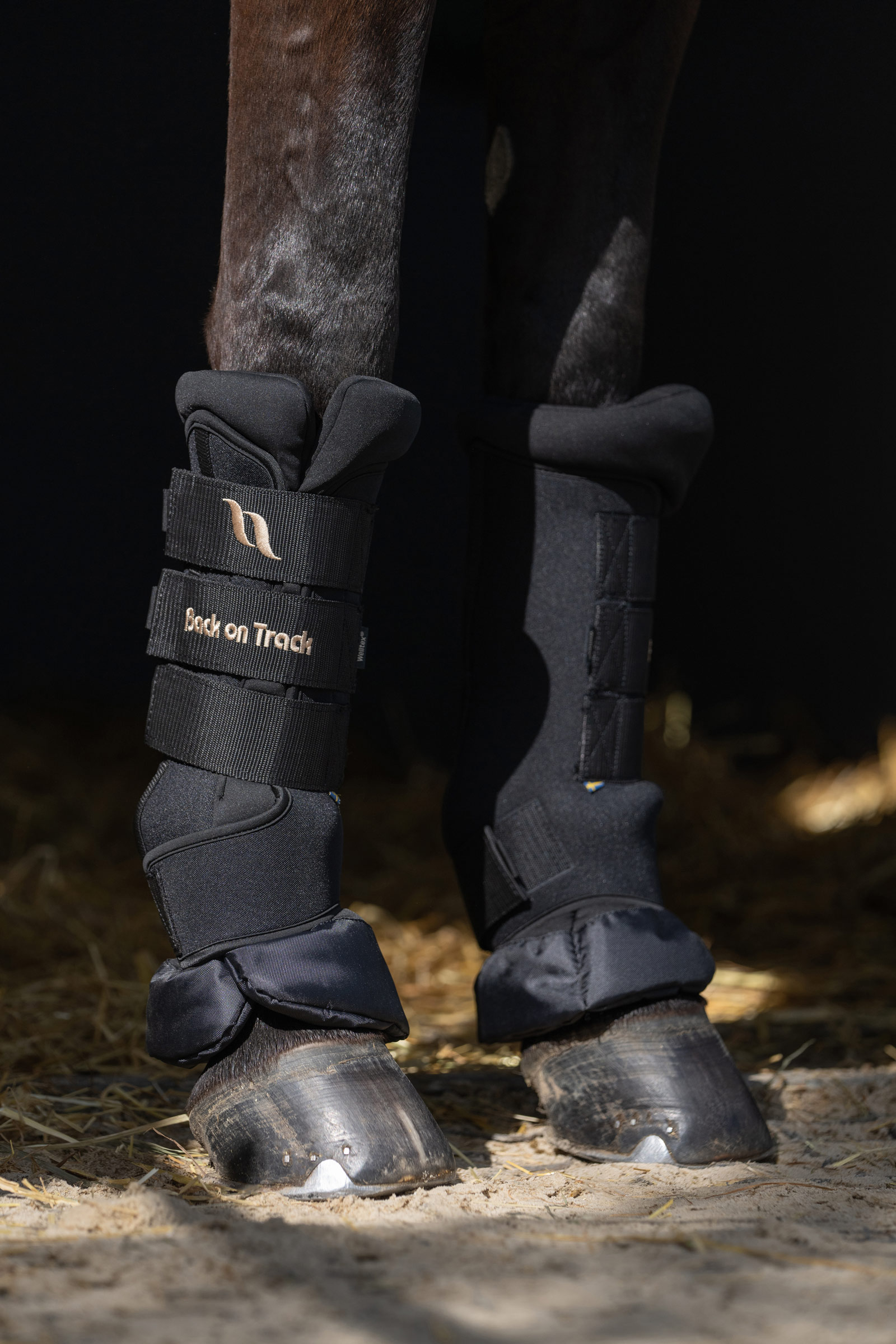 Guêtres de repos Back on Track Quick Royal