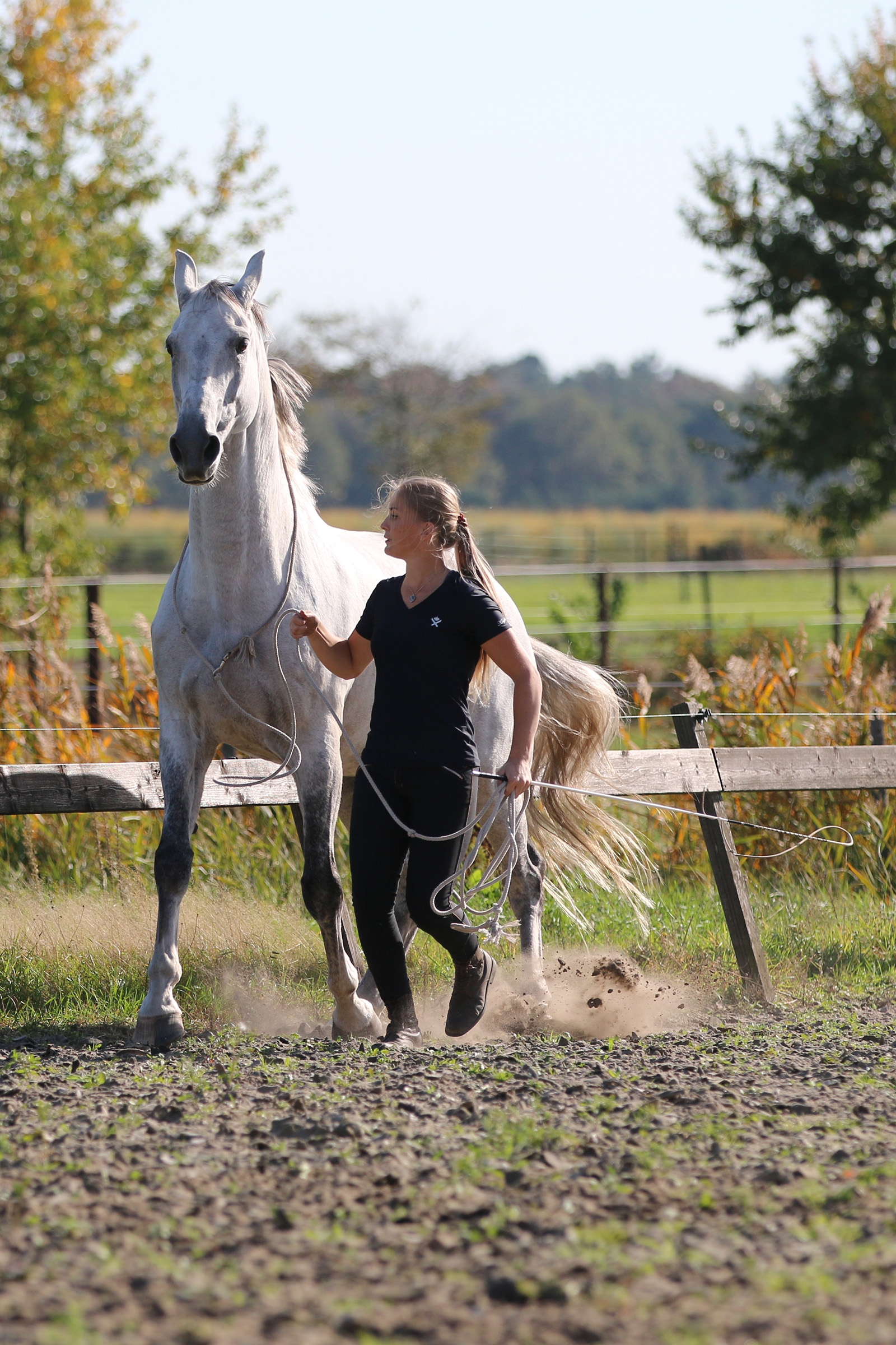 F.R.A. Freedom Riding Articles Flinn Longes de travail coton, 820 cm 