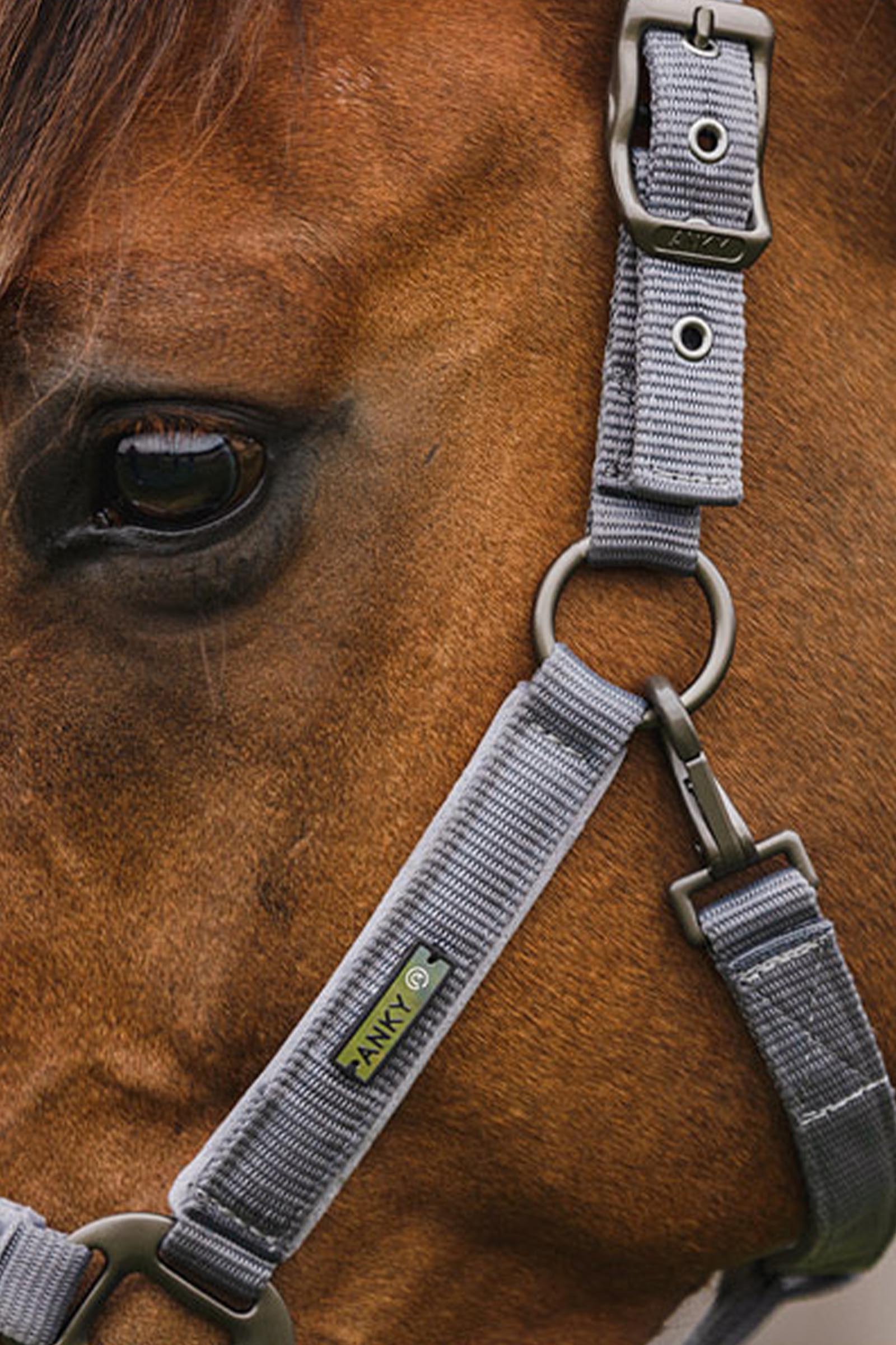 ANKY Stones Licol et longe