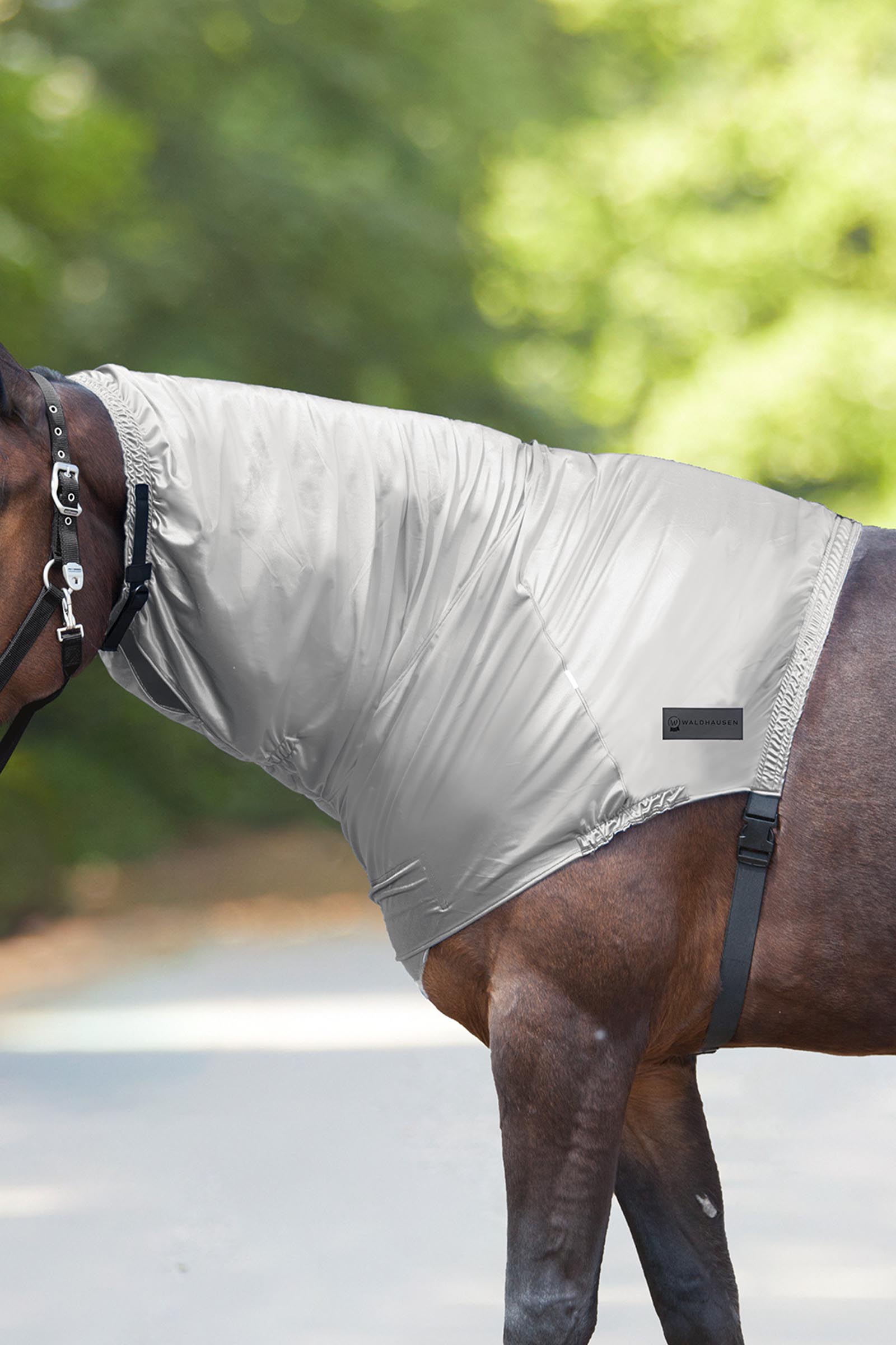 Silver Grey Waldhausen prot&egrave;ge-encolure anti-dermite