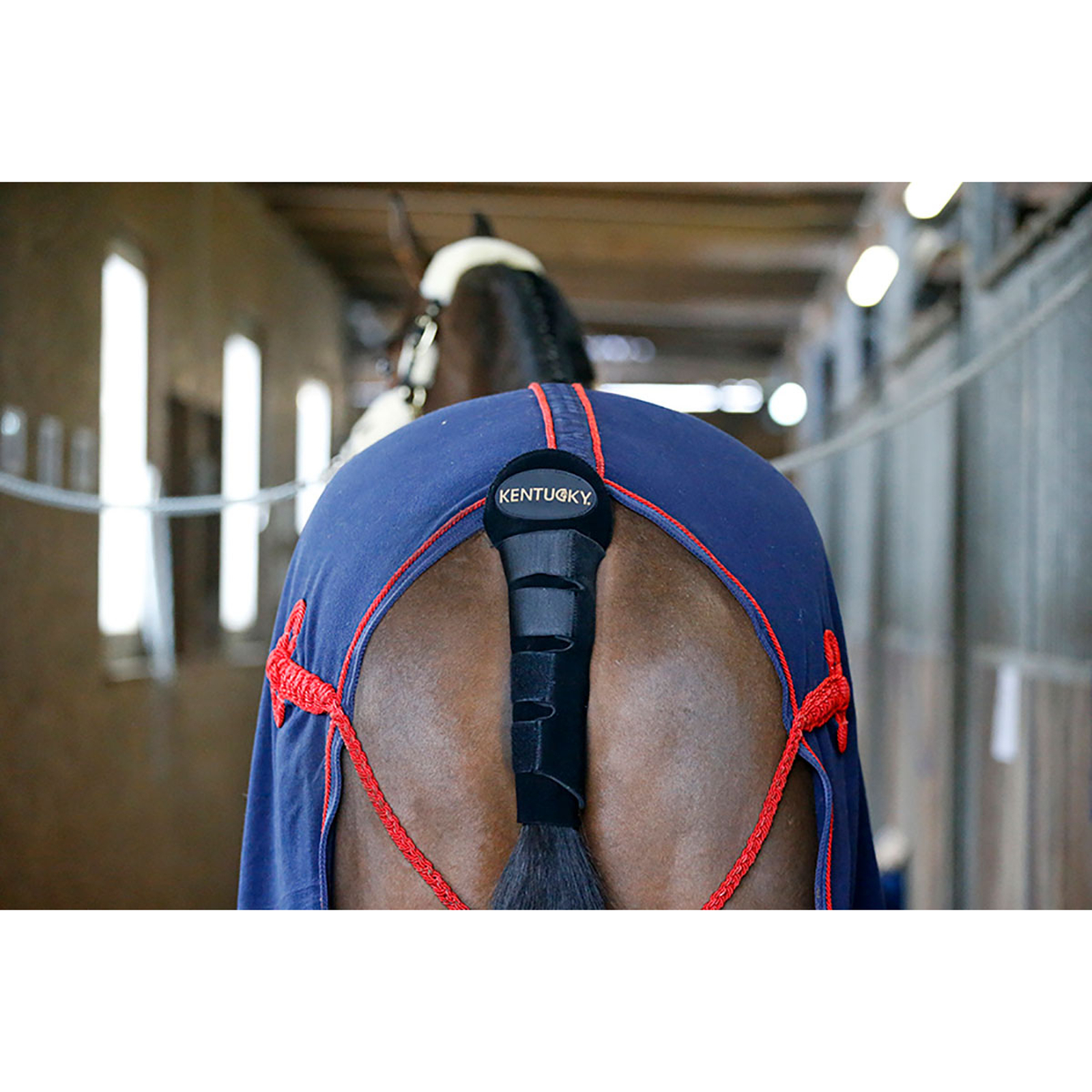 Prot&egrave;ge-queue / Sac &agrave; queue Kentucky Horsewear