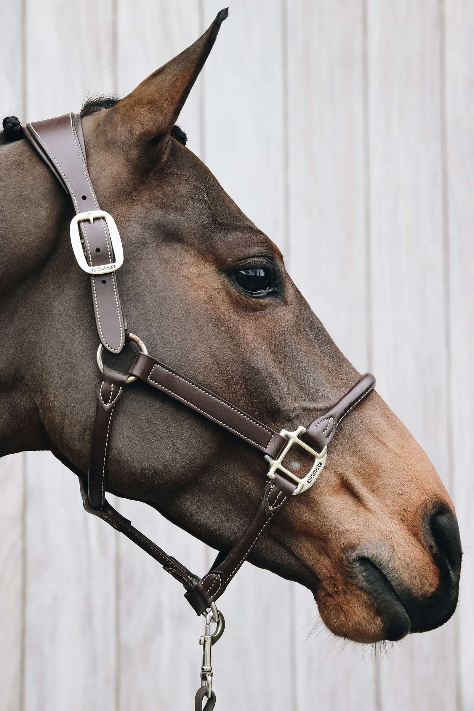 Kentucky Horsewear Licol anatomique en cuir