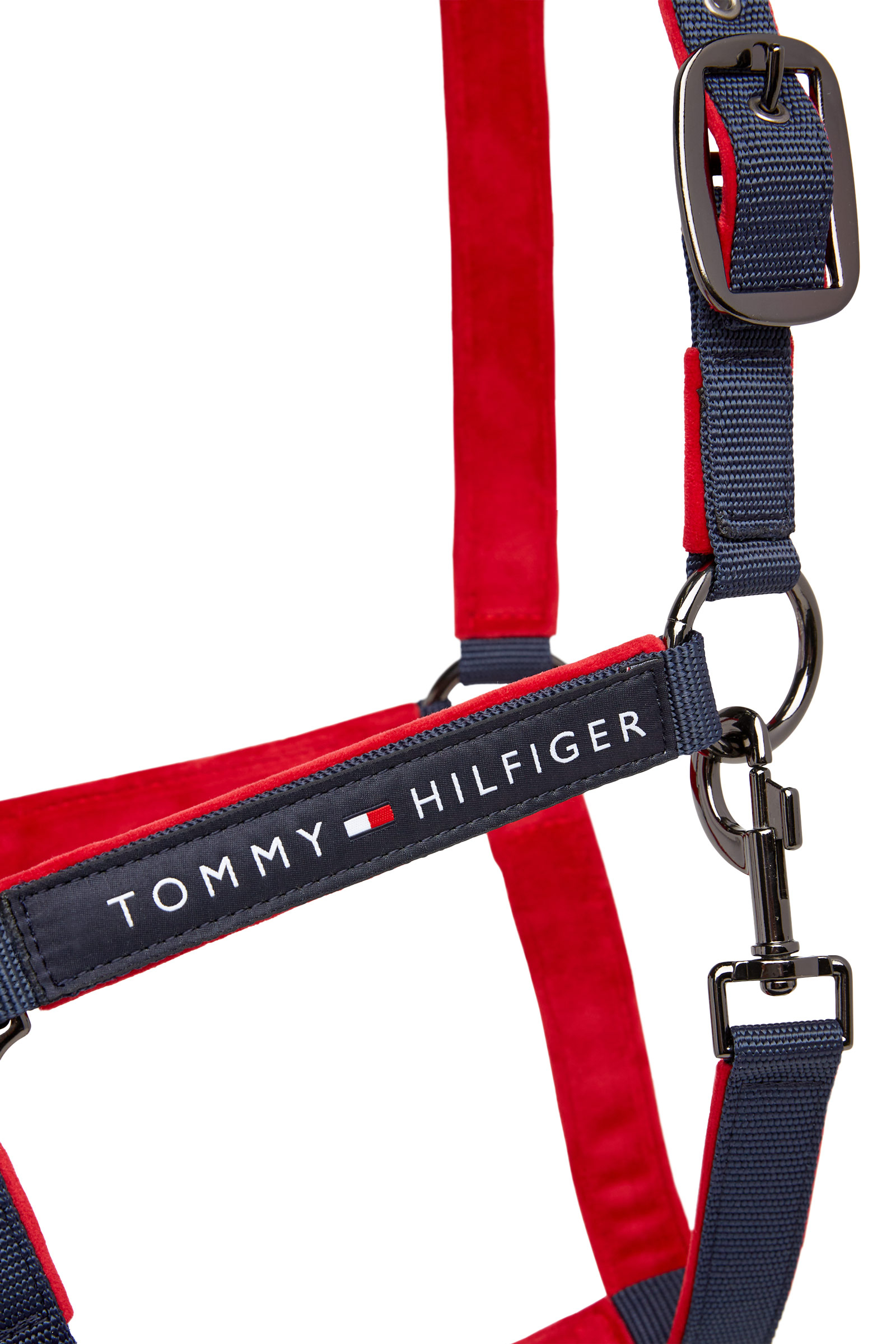 Tommy Hilfiger Equestrian GLOBAL Licol