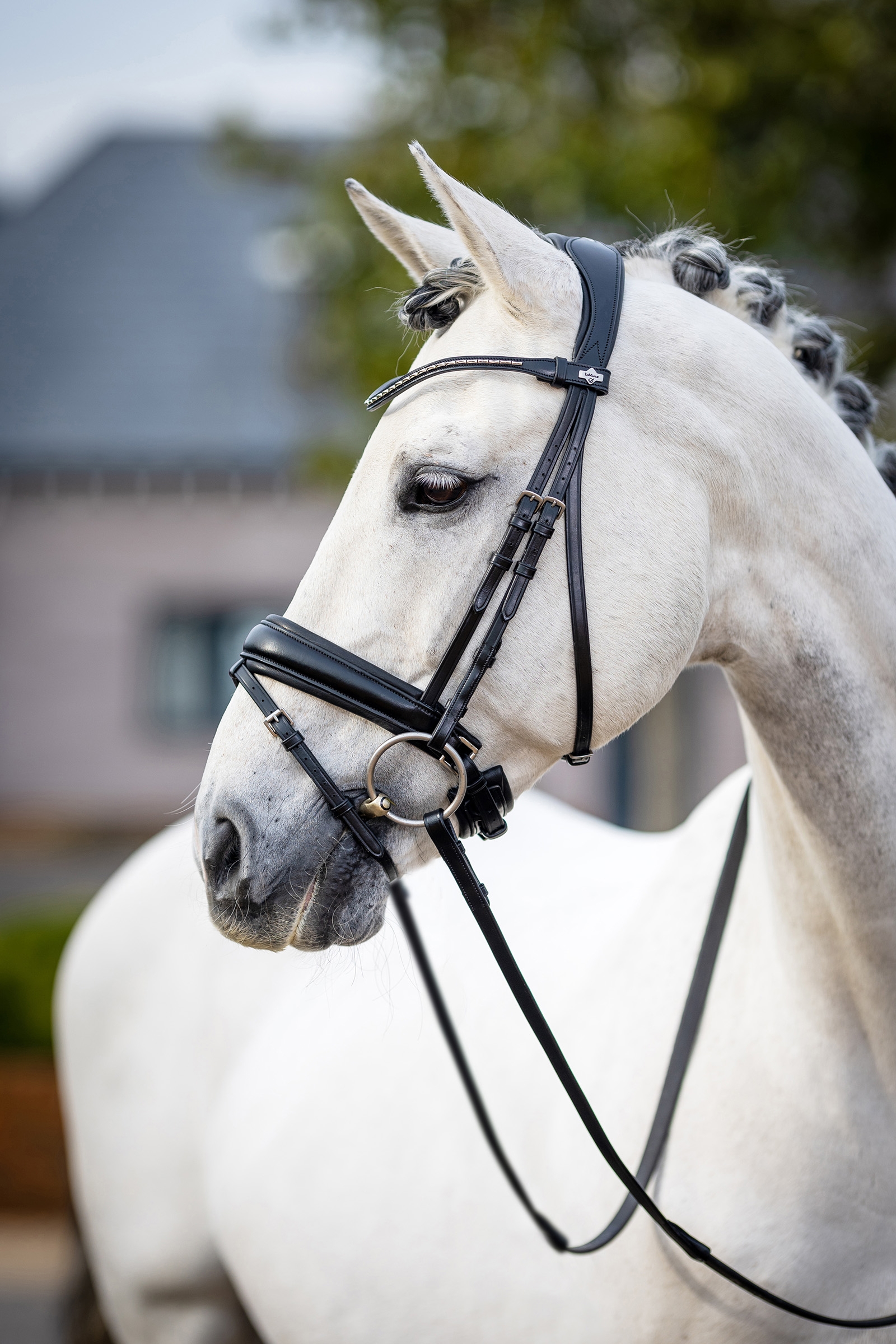 Kudos Bride dressage classique LeMieux
