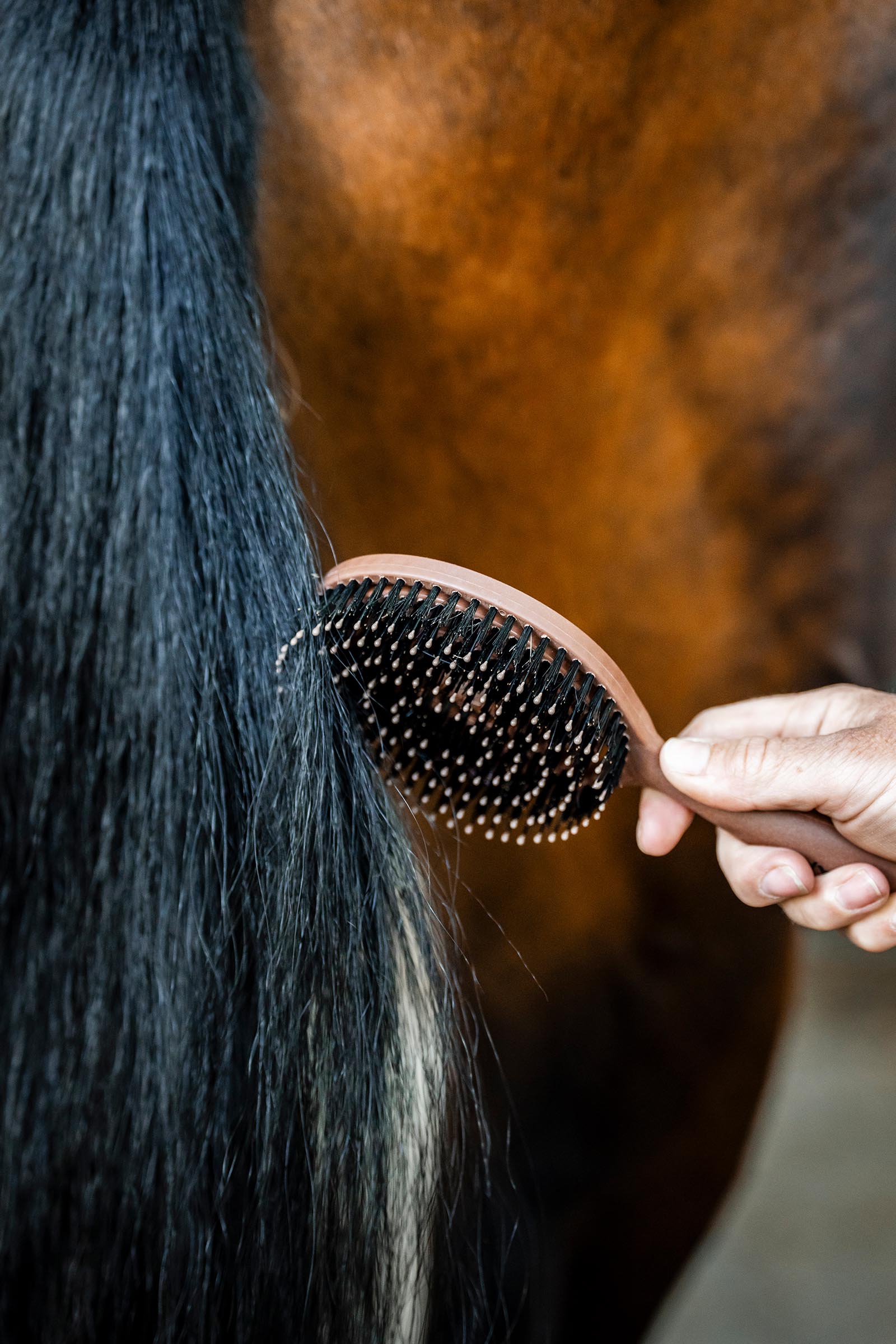 Horseware brosse crini&egrave;re et queue