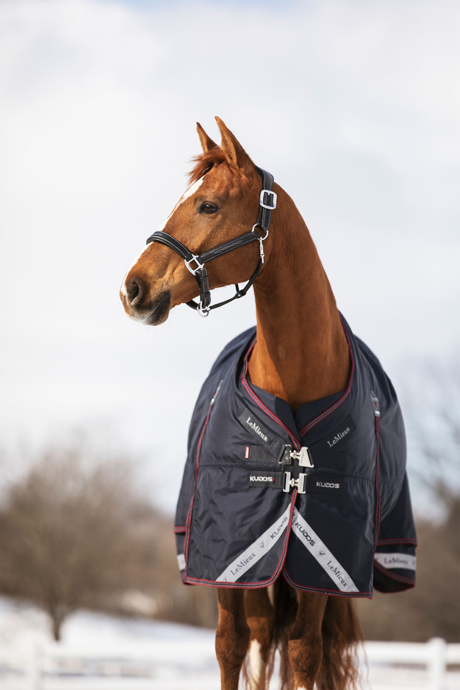 LeMieux Kudos couverture d&rsquo;ext&eacute;rieur, 350 g