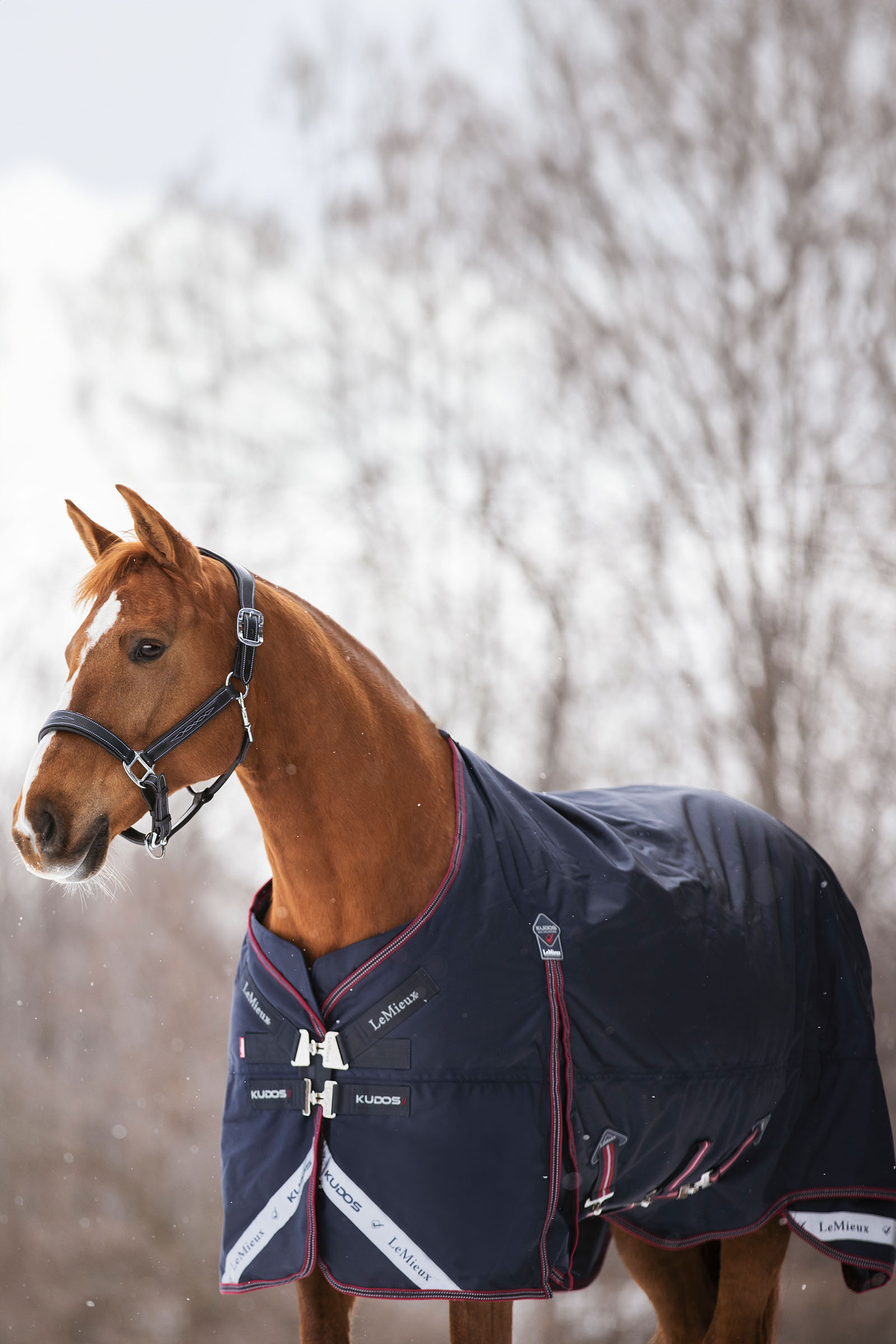 LeMieux Kudos couverture imperm&eacute;able l&eacute;g&egrave;re 100g