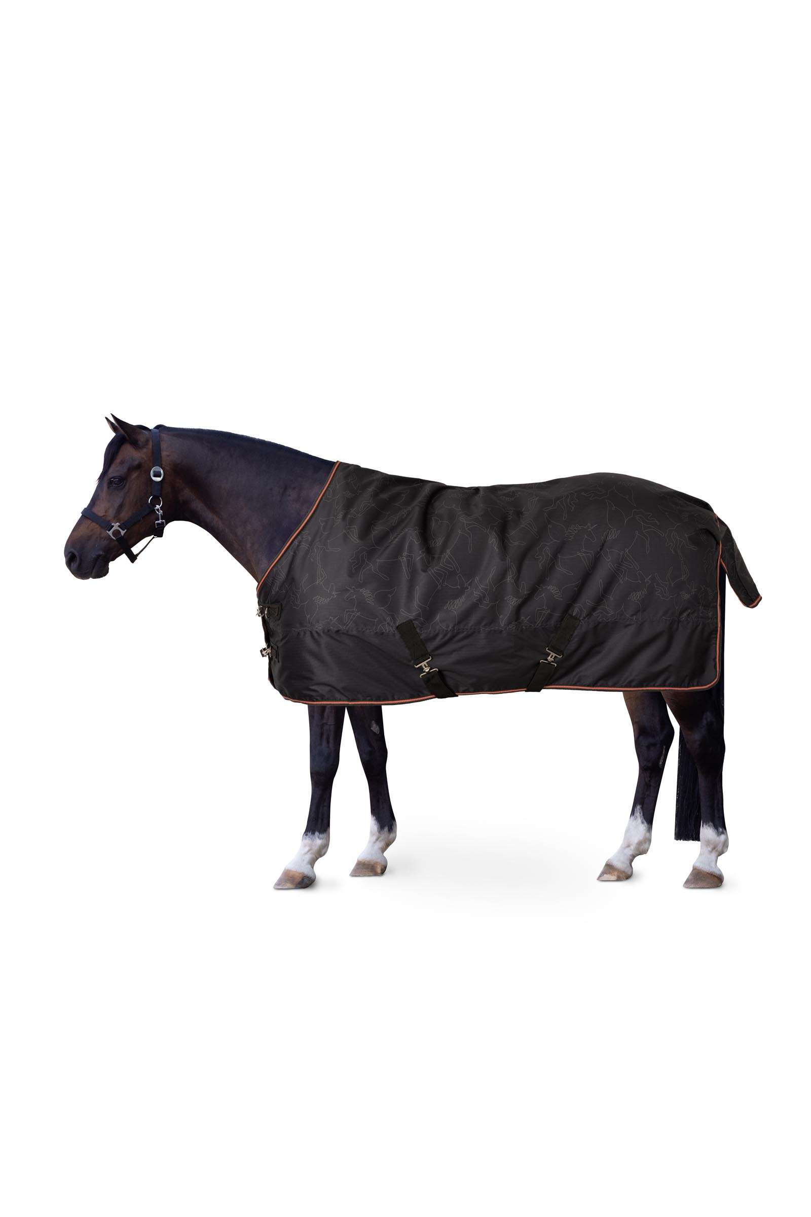 Couverture imperm&eacute;able Horze Pegasus pour poney 200 g/m&sup2;