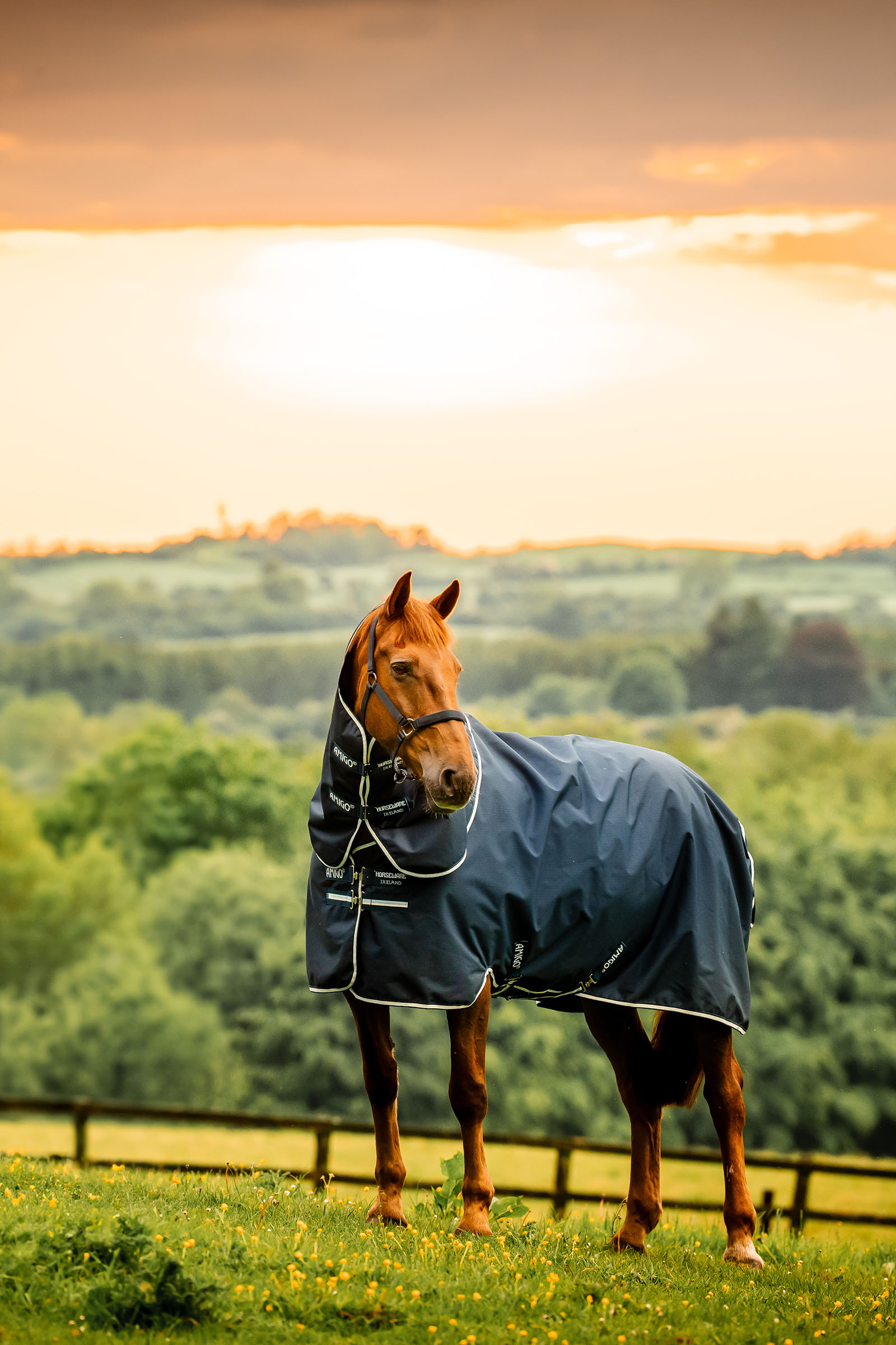 Witney Navy Horseware Amigo Ripstop 900D Plus couverture d'ext&eacute;rieur avec partie de cou amovible, 100 g