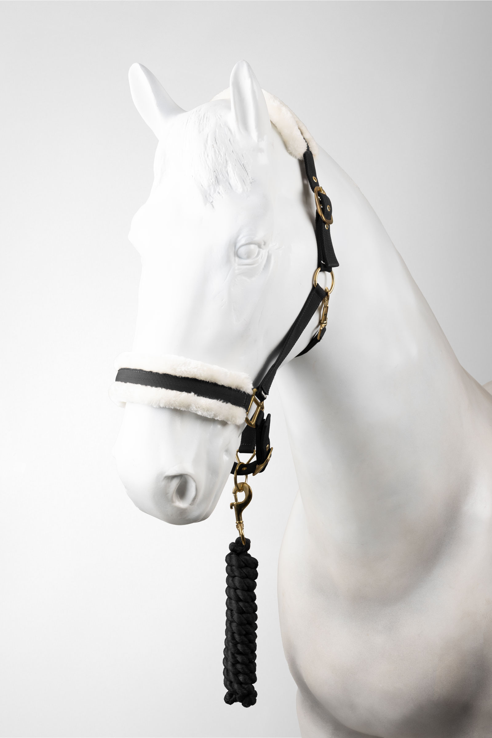 Black Horze licol et longe ensemble